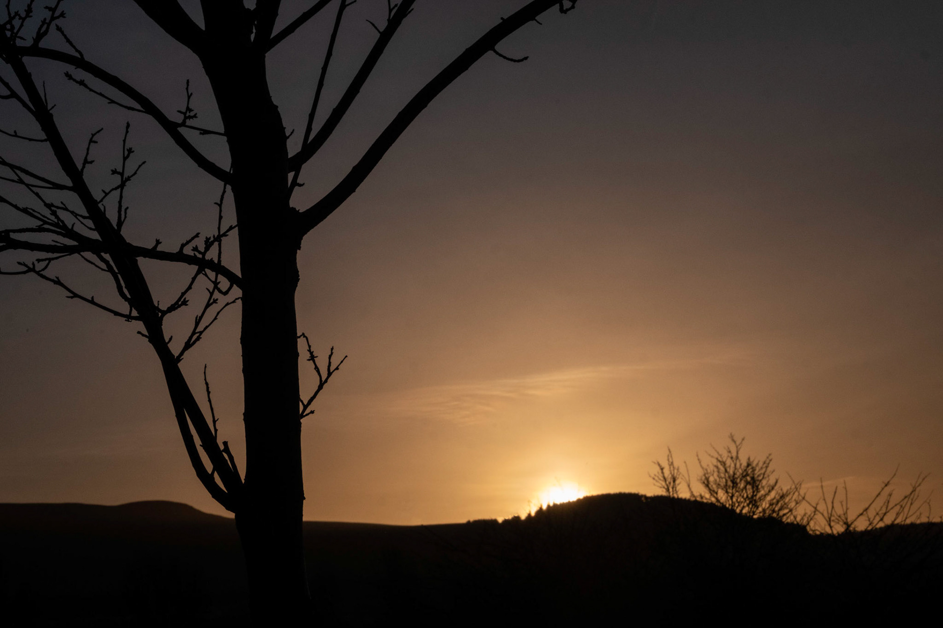 We had a fine spell of weather for a few days and I took this picture as the sun set, the day after the moon picture. My aim was to make as simple an image as possible. Sadly, there are no completely isolated trees in the park that can be an effective foreground so I made the best of the tops of the trees against the distant Pentlands.