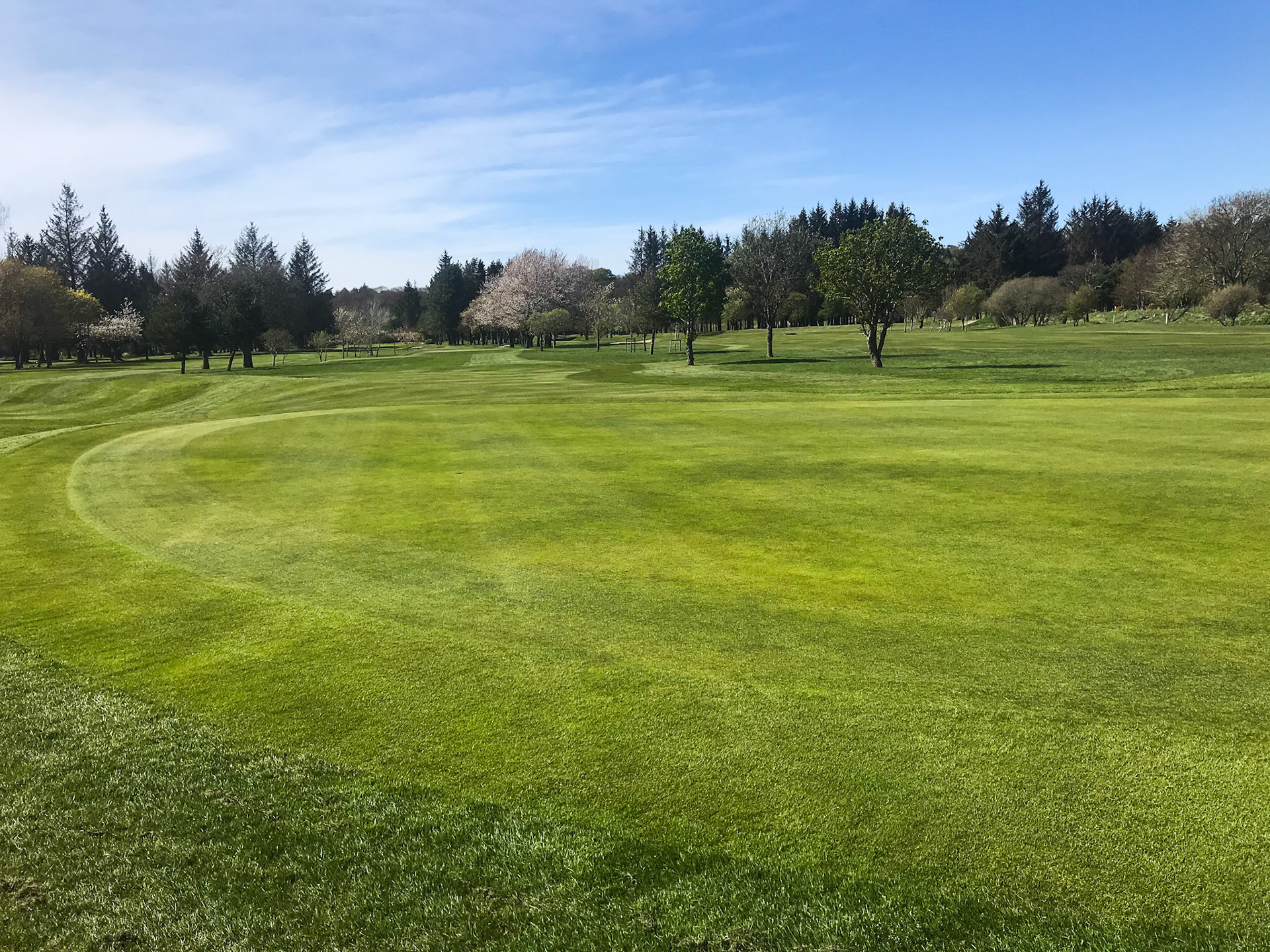 5th May 2020. Deeside golf course - without golfers. In Scotland (unlike England), the access laws allow you to walk on golf courses anytime but you do so at your own risk when there are golfers around. The lockdown means that we can enjoy these spaces without worrying about stray golf balls.