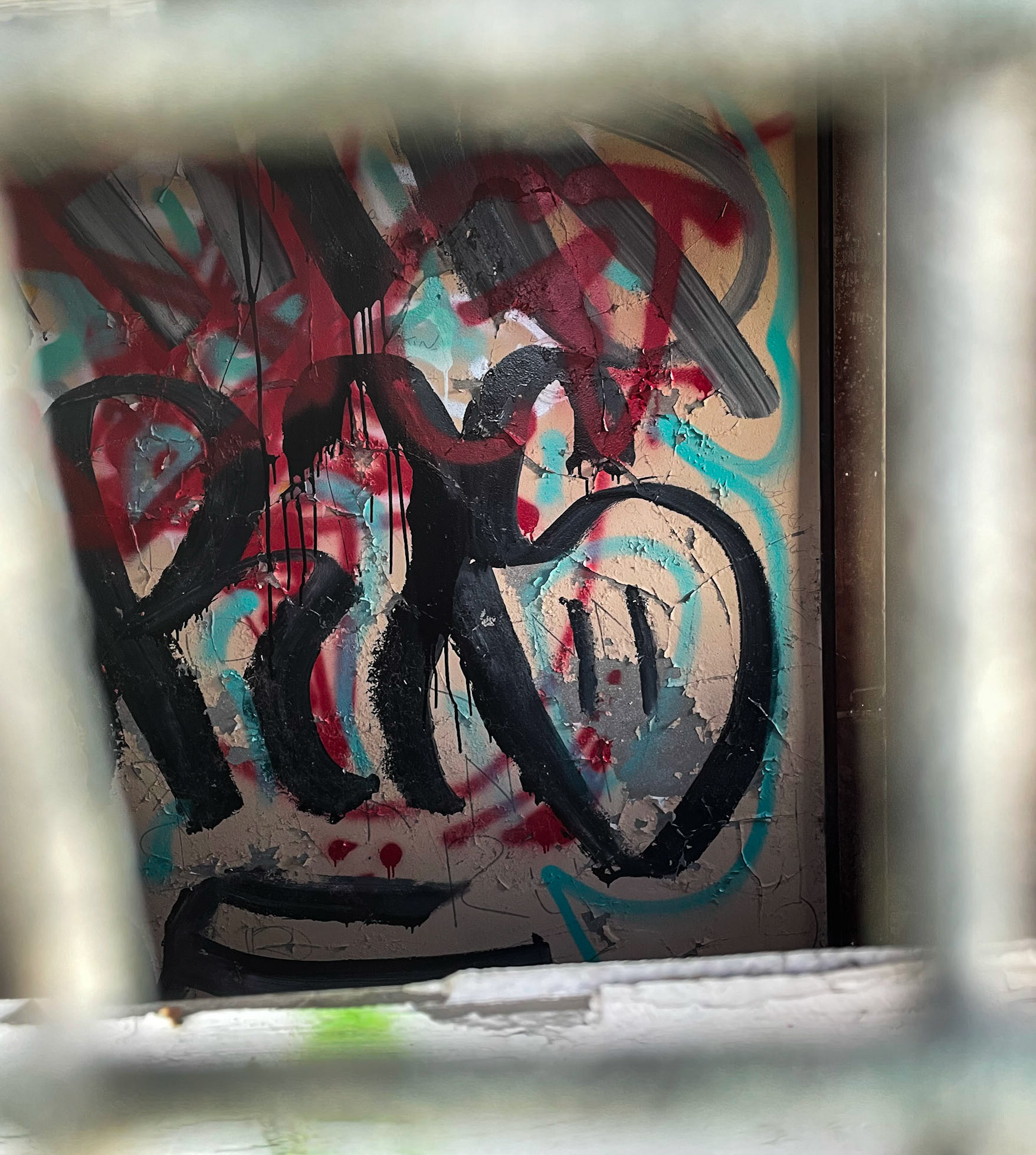 There's a derelict building in the park that has been extensively graffitted. The windows are covered in steel mesh to dissuade intruders and this created the out of focus frame for the pattern inside.