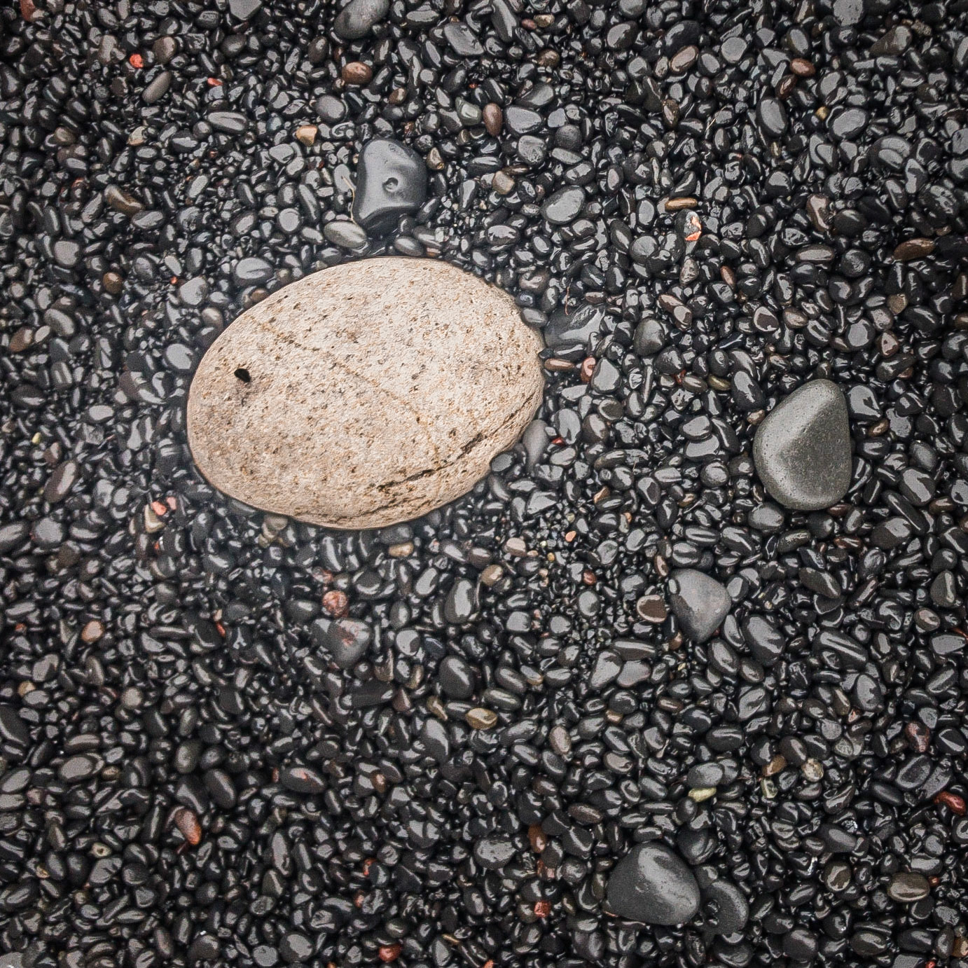 Another beach pebble shot with the focus this time on the ligh-coloured rock.
