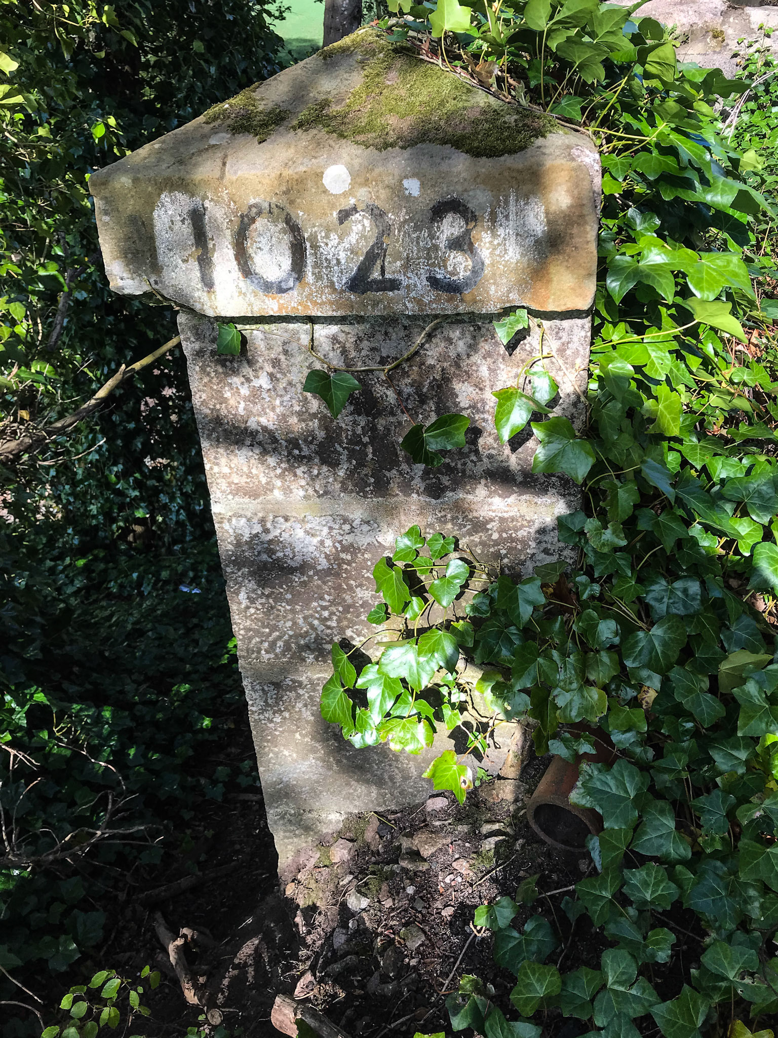11th May 2020. On the Deeside Way again. This was originally a railway line from Aberdeen to Banchory that was built so that Queen Victoria could travel to Balmoral Castle - her Scottish residence. I suspect it was never profitable and it was closed in the 1960s. Every bridge had a number and I was amazed to see how clear this one still was. I liked the dappled light on this pillar with the encroaching ivy.