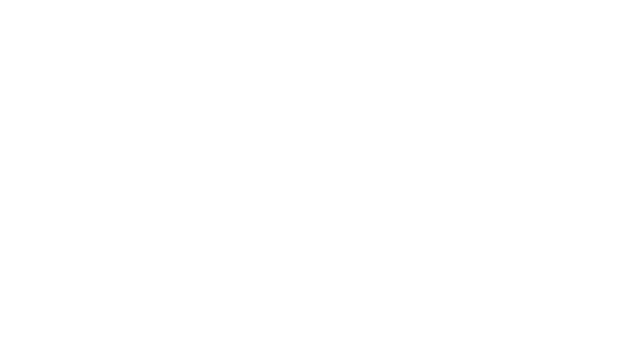 Wagner José