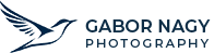 Gábor Nagy