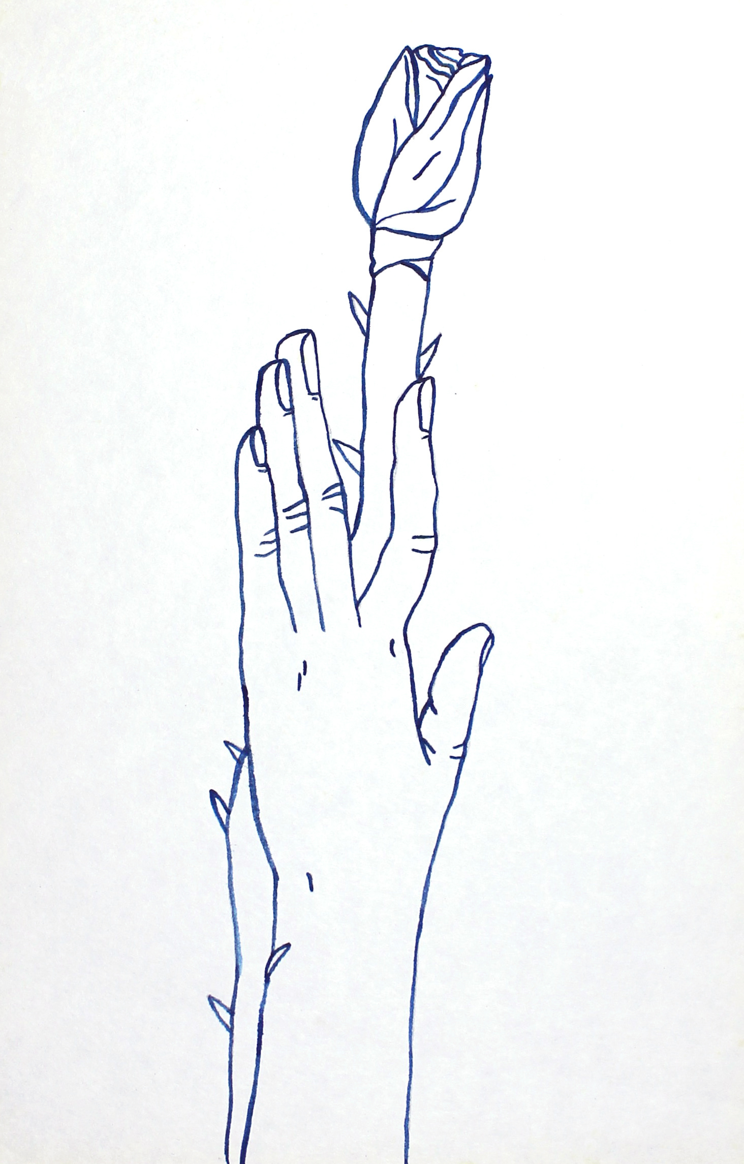 Thorn Touching - 2014, gouache on paper, 21 x 14cm