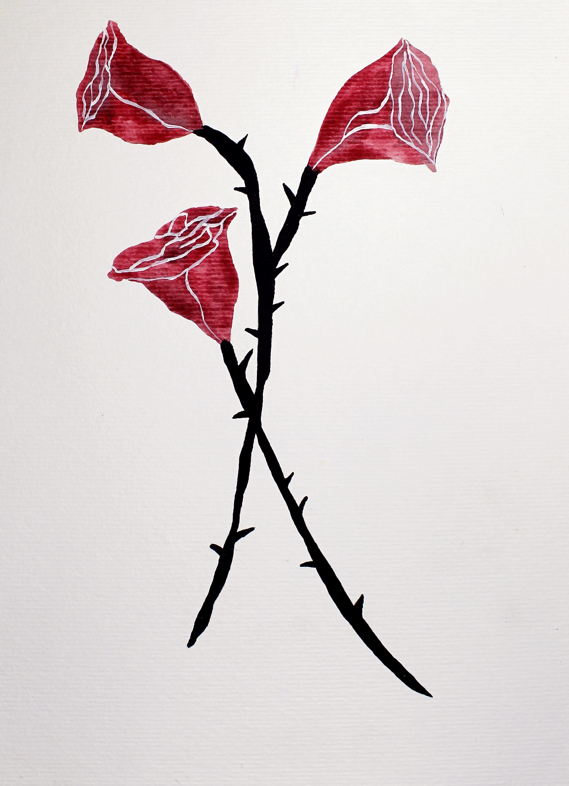Spikes and Roses - 2016, watercolour on paper, 21 x 28cm