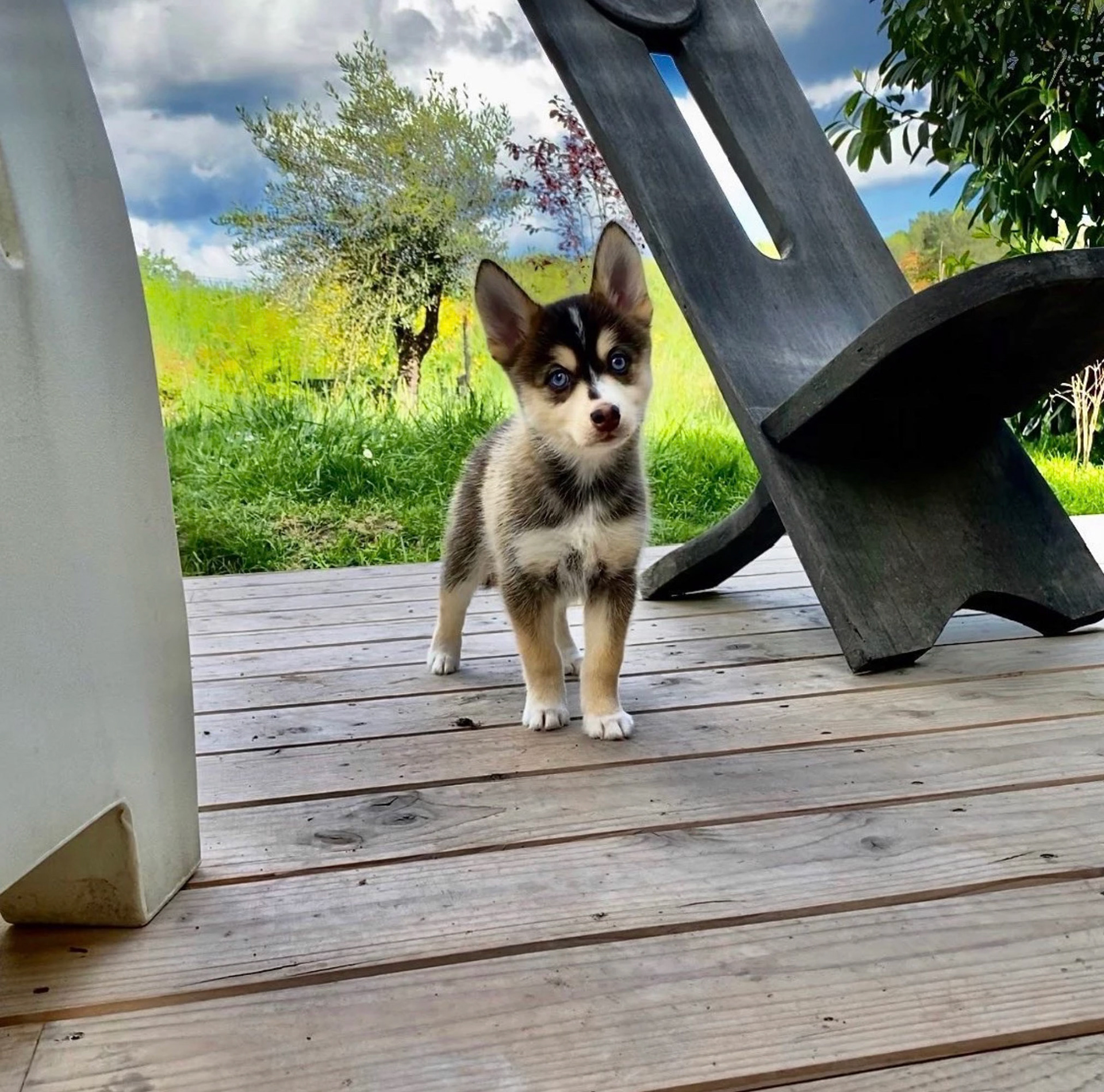 FLOYD part à Paris 😍😍😍❤️🌙🐺❤️