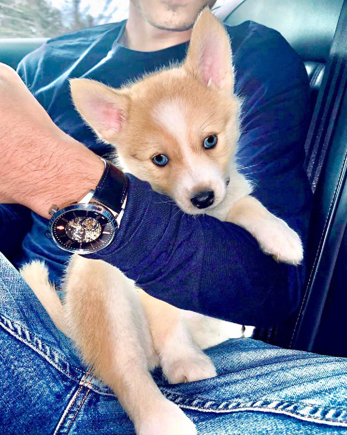MOSCOW est bien arrivé à Marseille ❤️❤️🌙🐺❤️❤️
