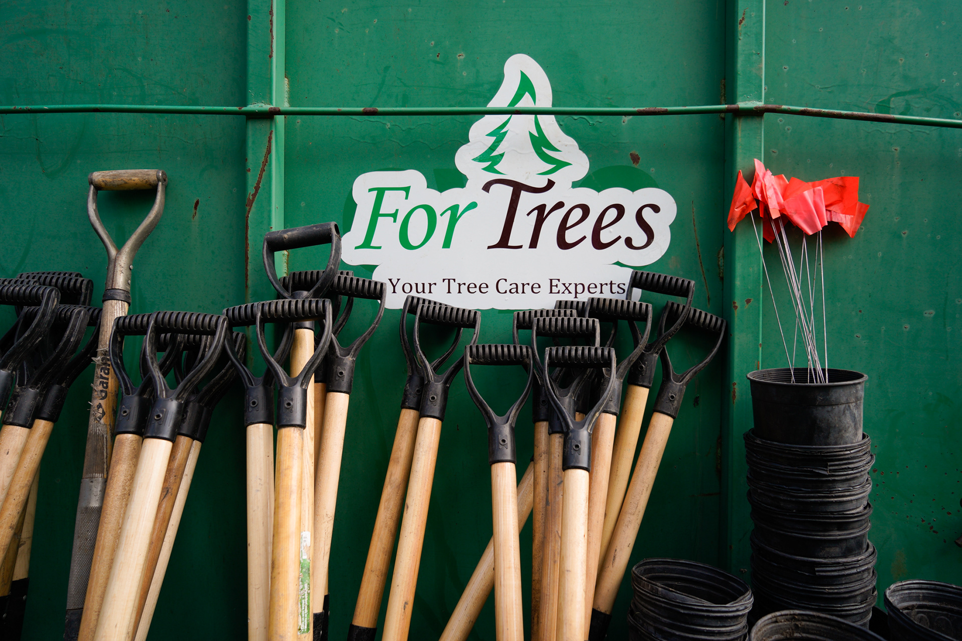 Tree Planting Event at Fish Creek Provincial Park, Calgary