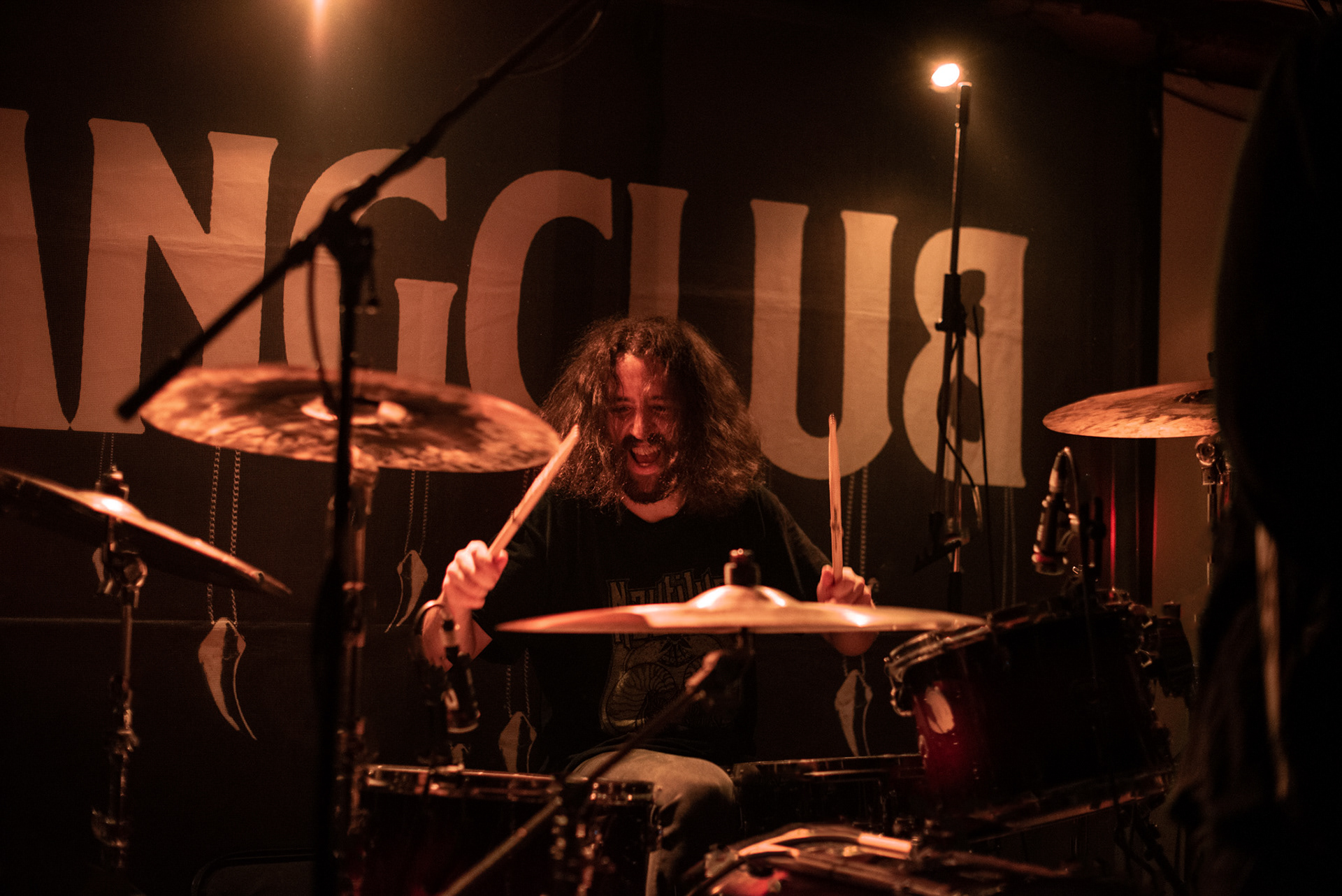 Fangclub