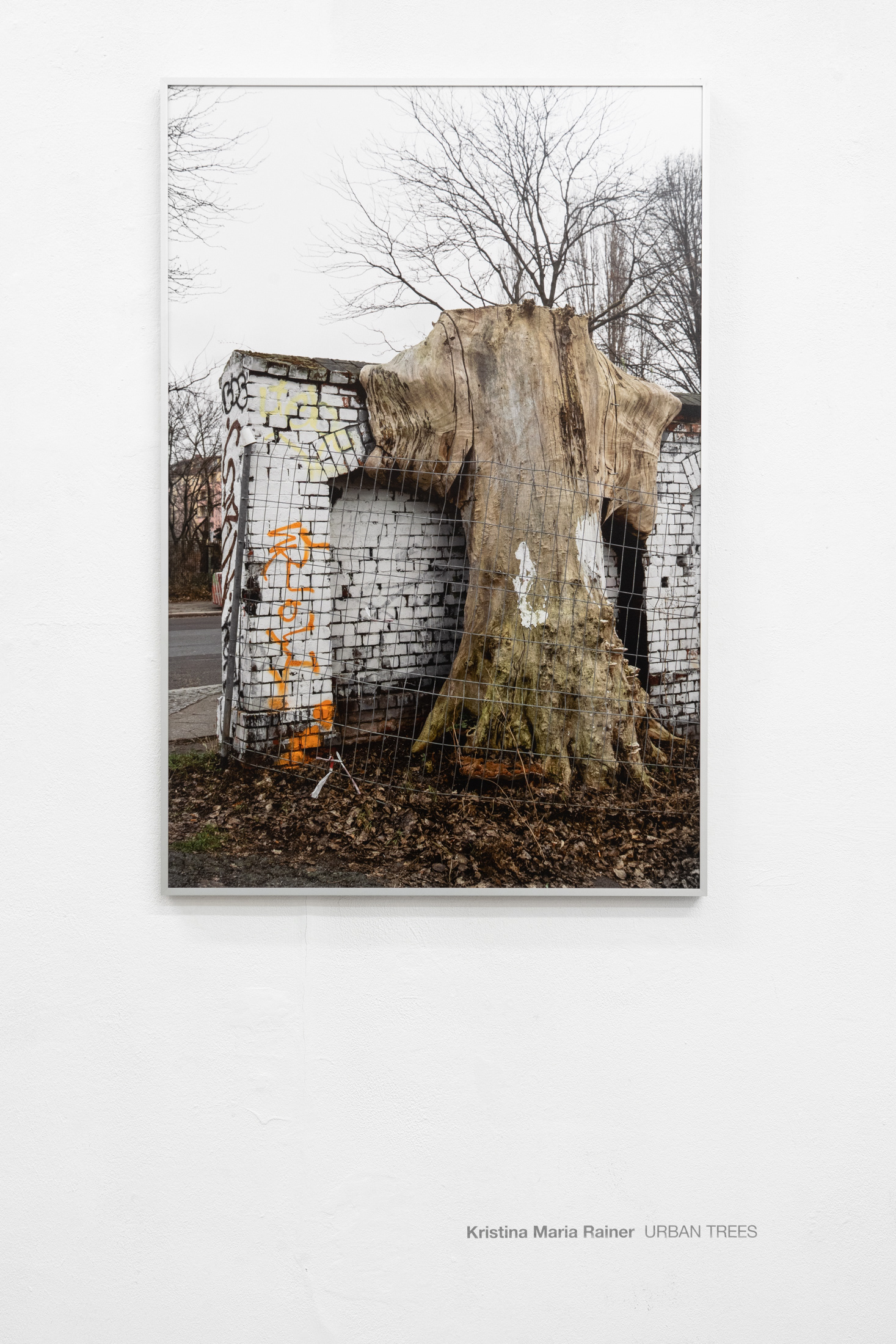 New School for Photography Gallery, November 2022, Berlin