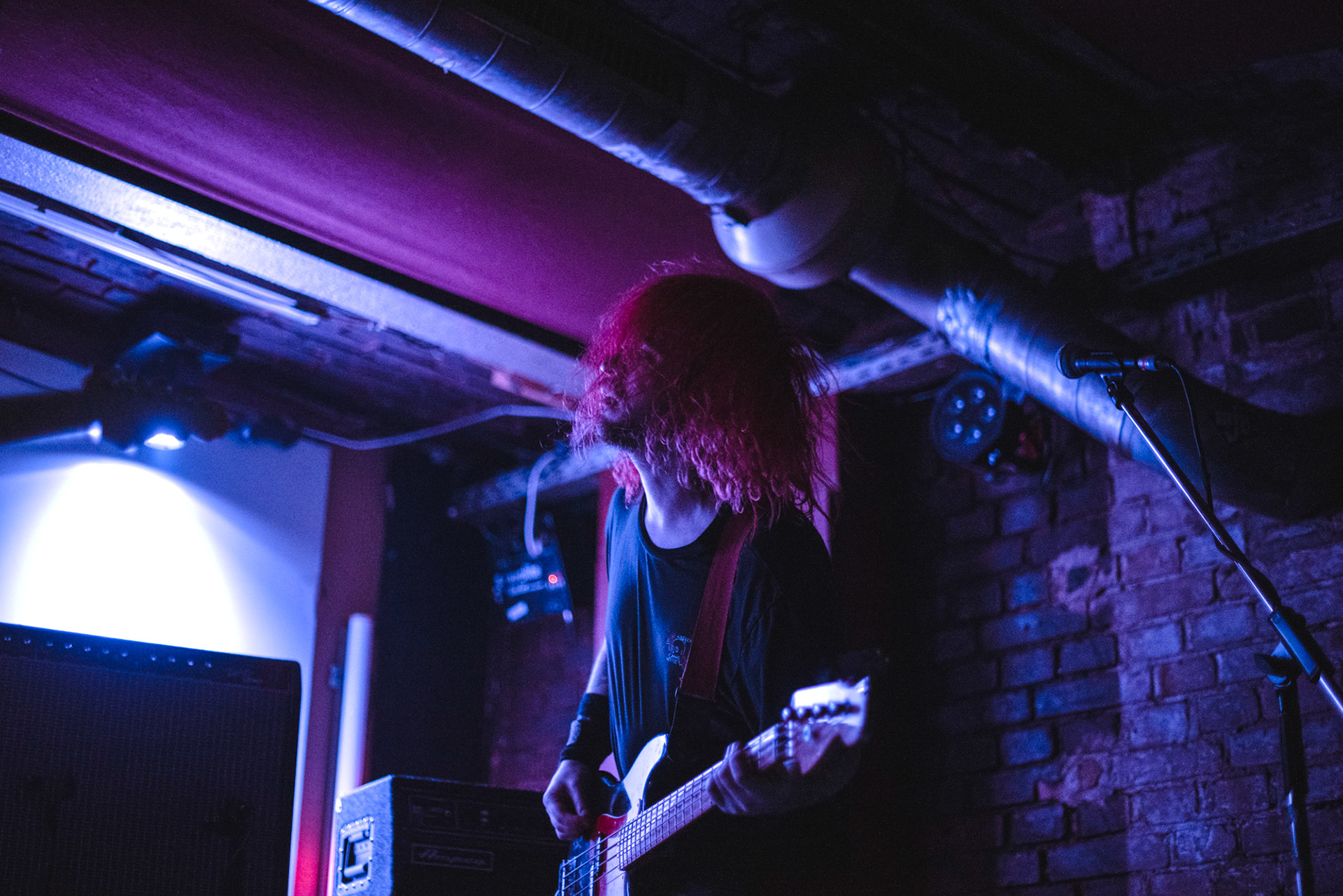 Fangclub