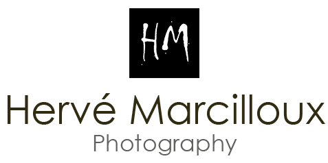 Hervé Marcilloux