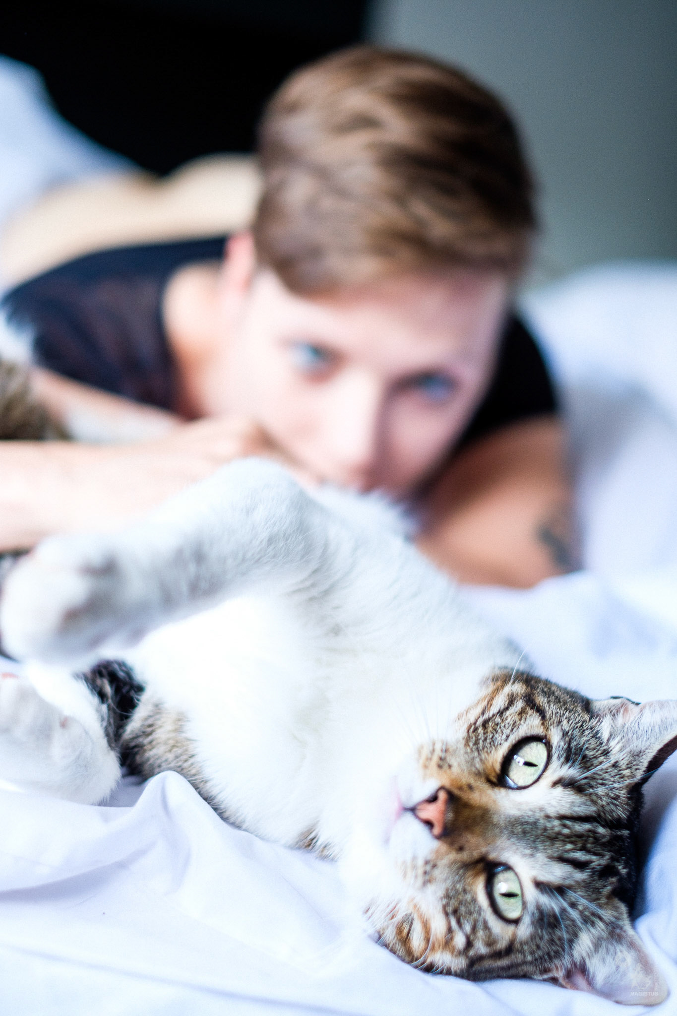 Katzen gehen ja immer, wer nicht nur Katzen sehen möchte, einfach dem Link folgen: https://magistus.photography/feline

Feline | MAGISTUS.PHOTOGRAPHY | M: Cat A Clysm