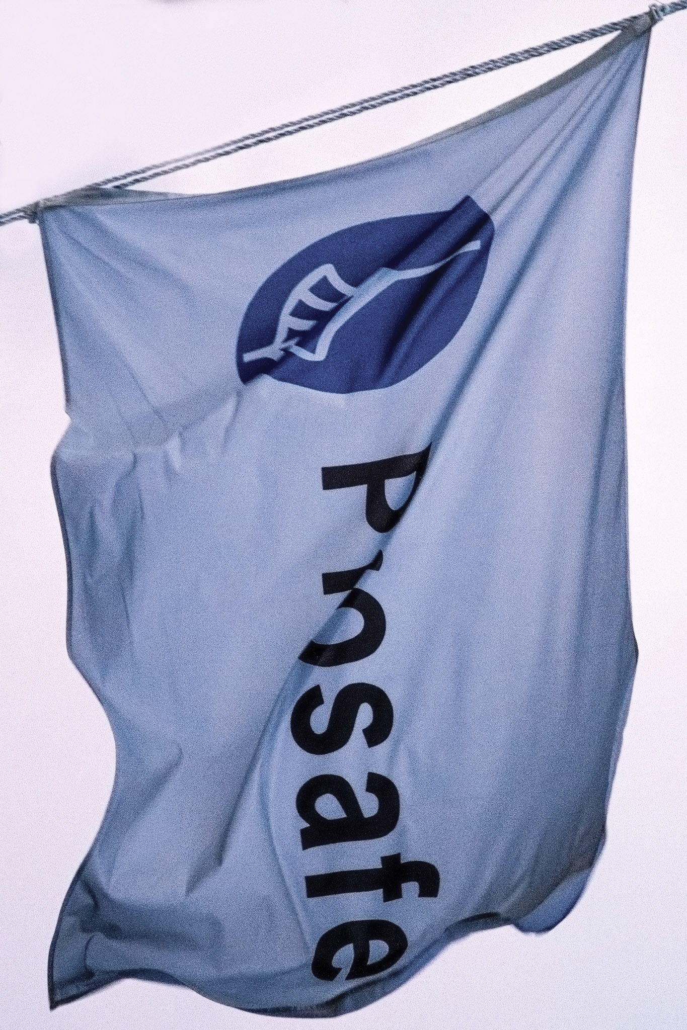 flying the house flag