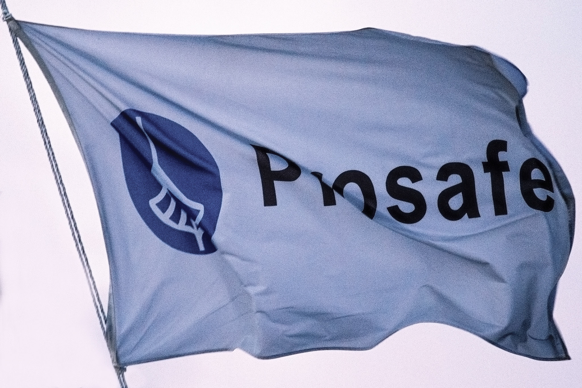 flying the house flag