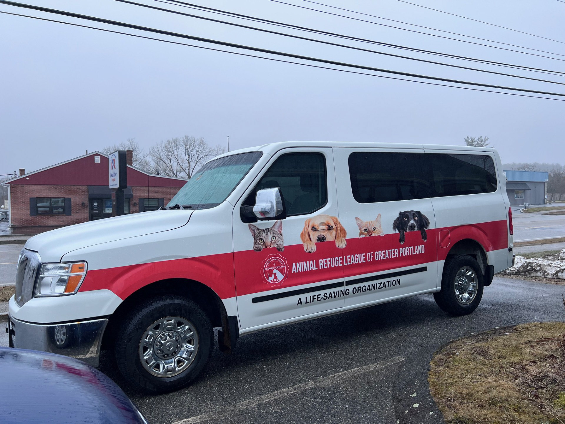 car wrap design