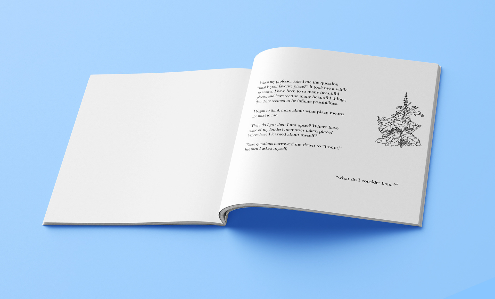 inside front cover and page 1