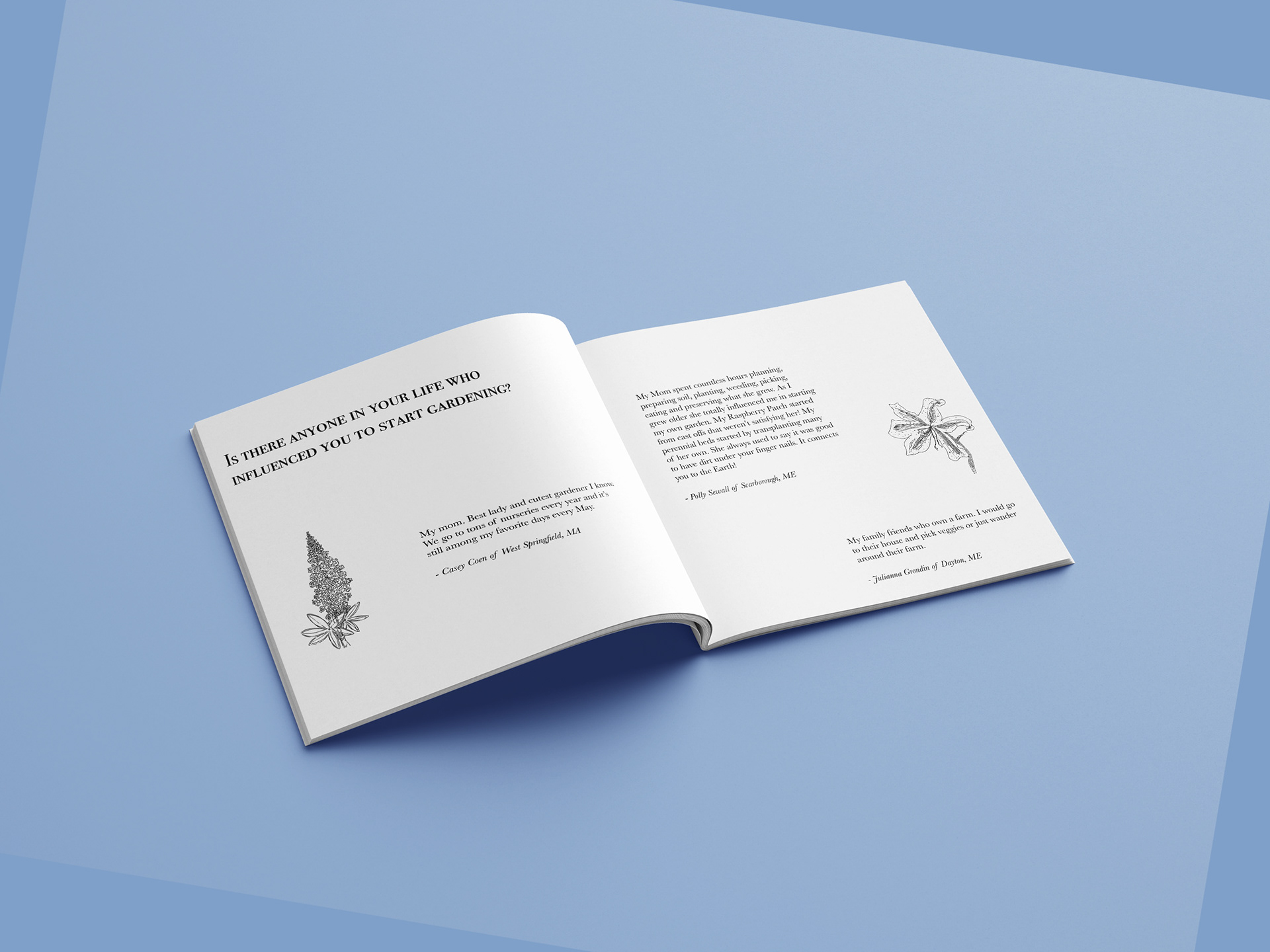 pages 16-17