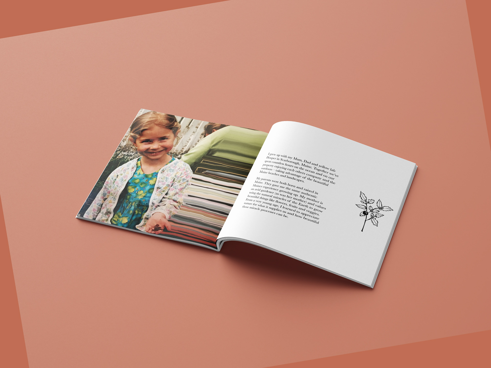 pages 2-3