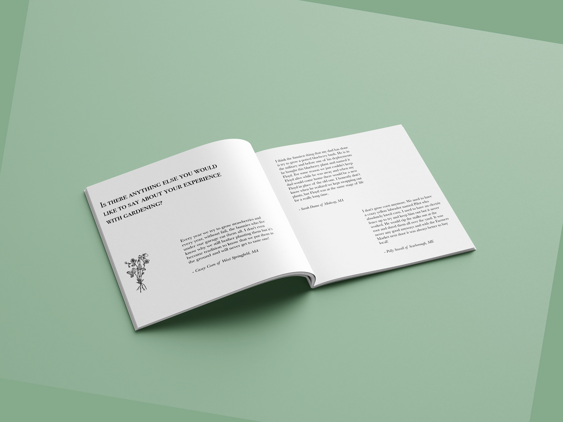 pages 26-27