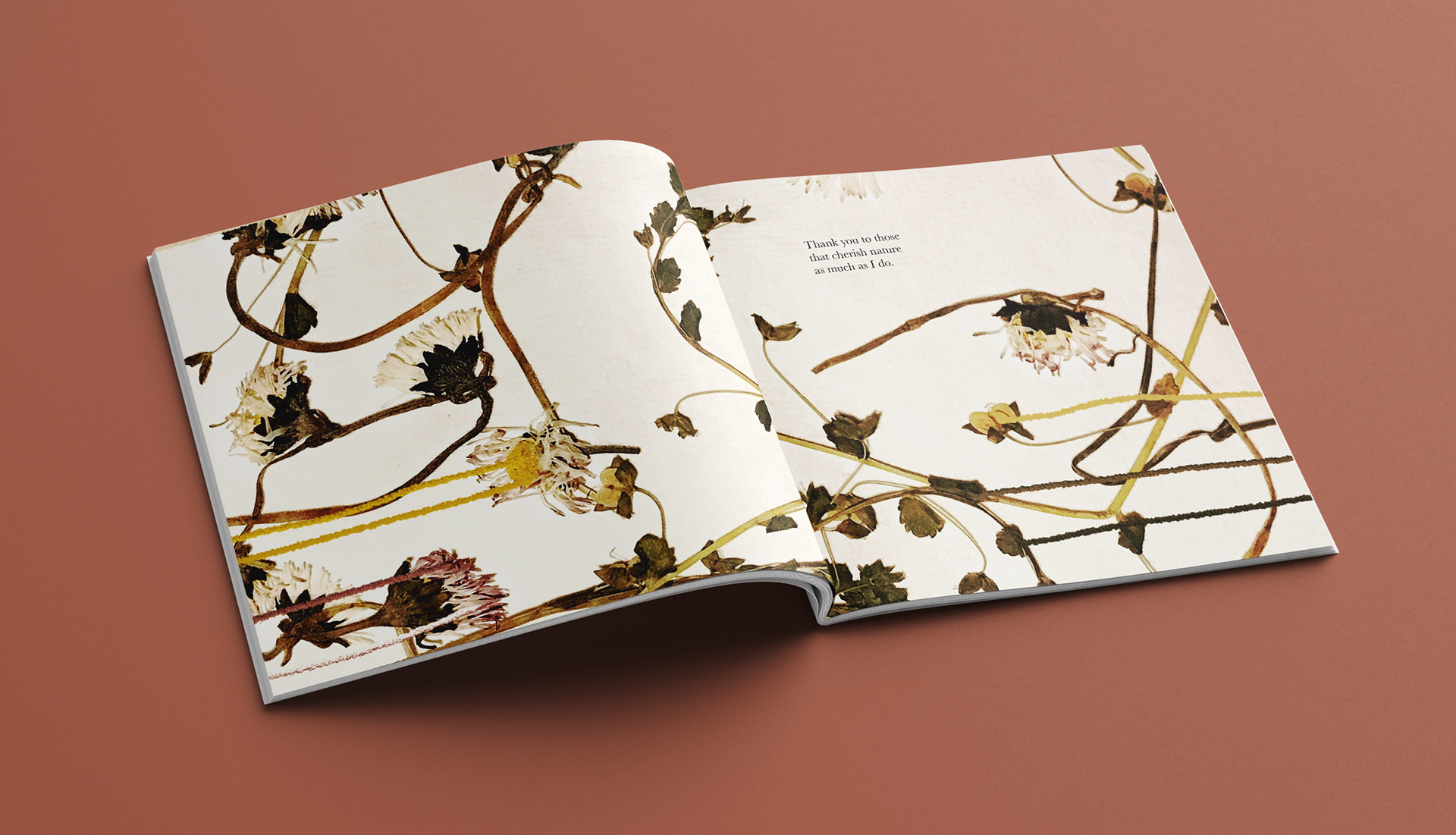 pages 24-25