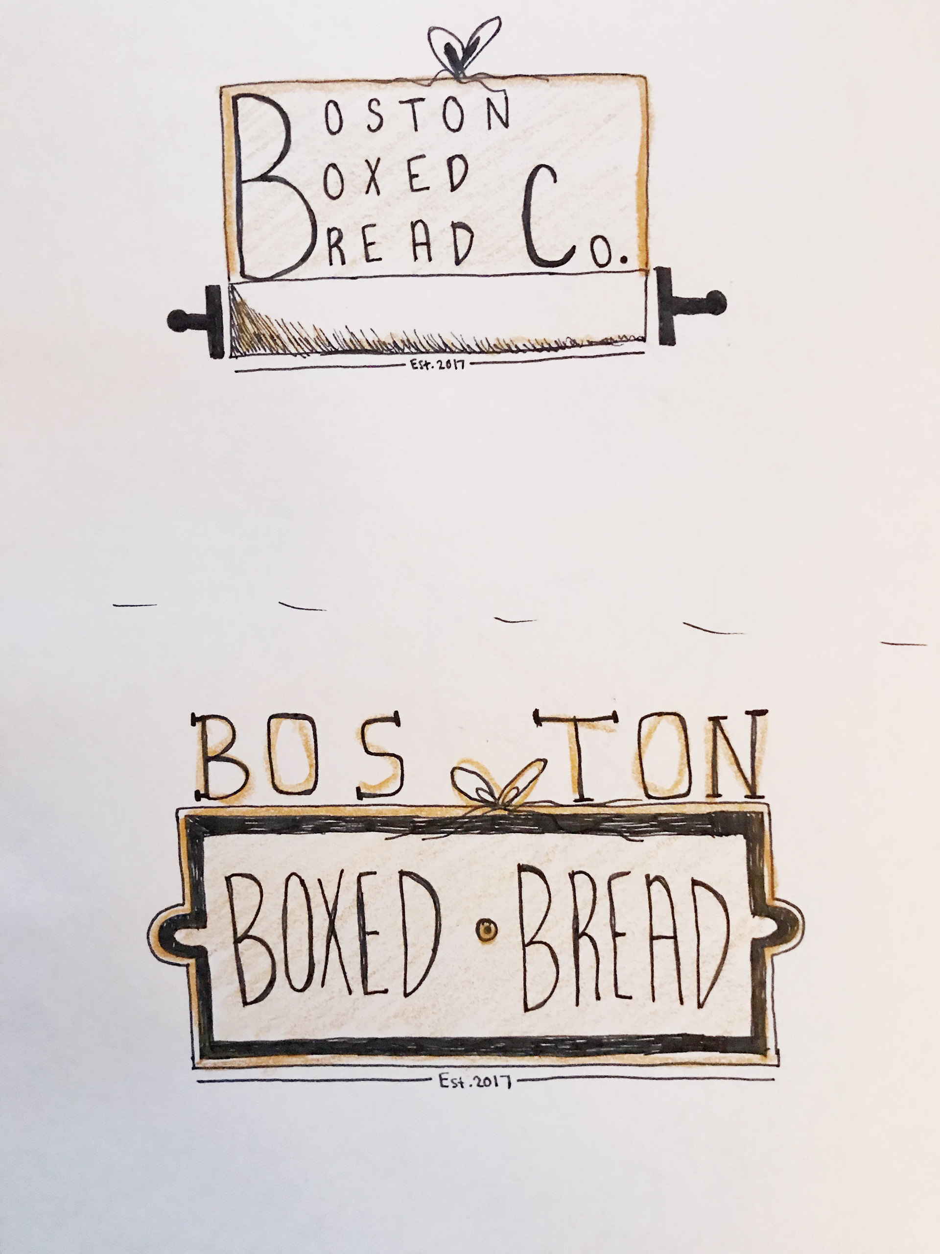 Color Logo Ideation