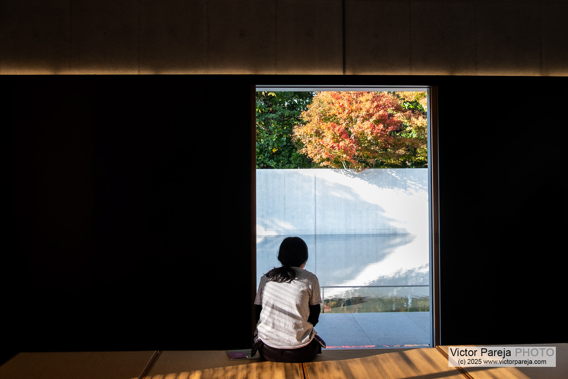 D. T. Suzuki Museum