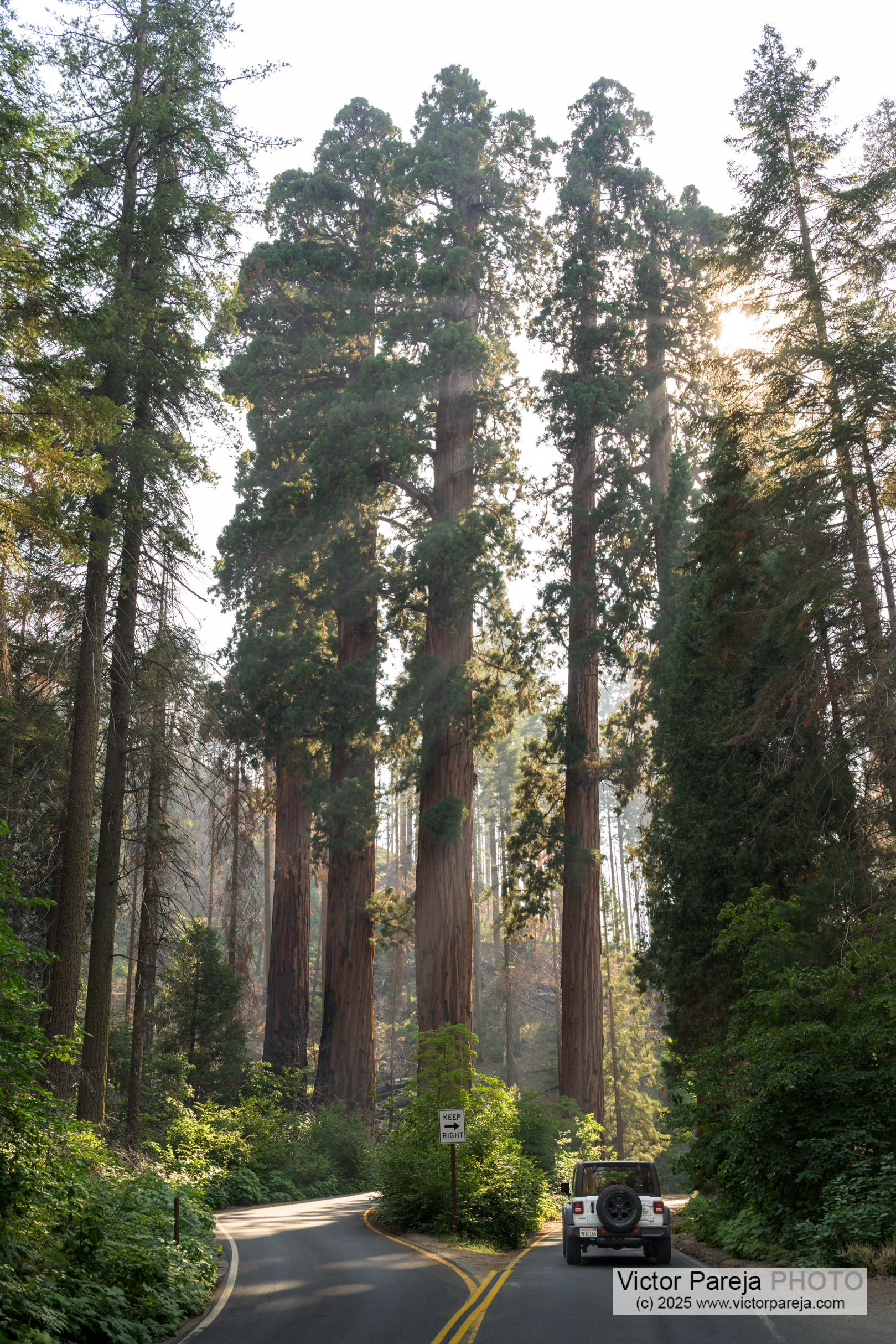 Sequoia National Park