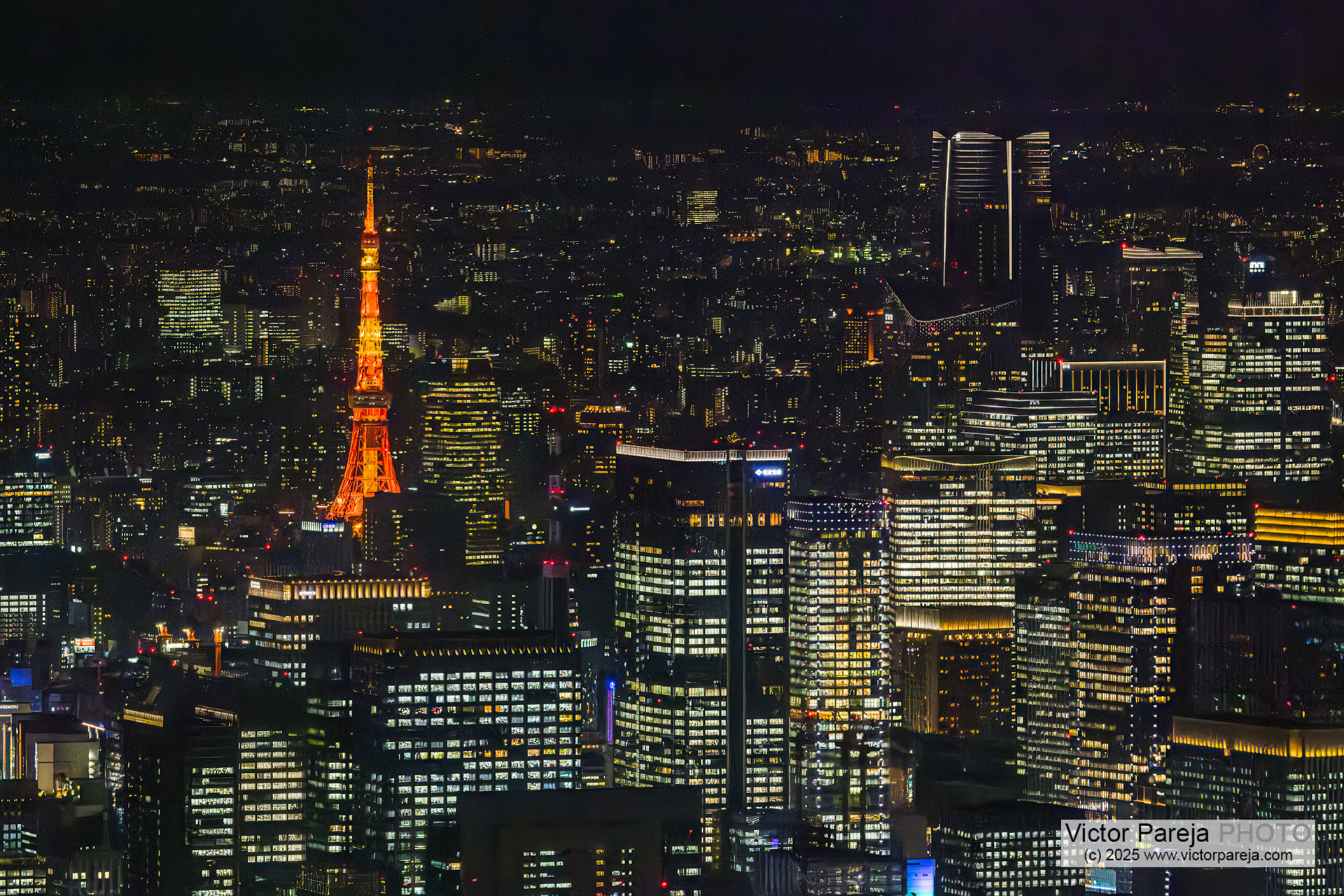 Tokyo Tower and Roppongi