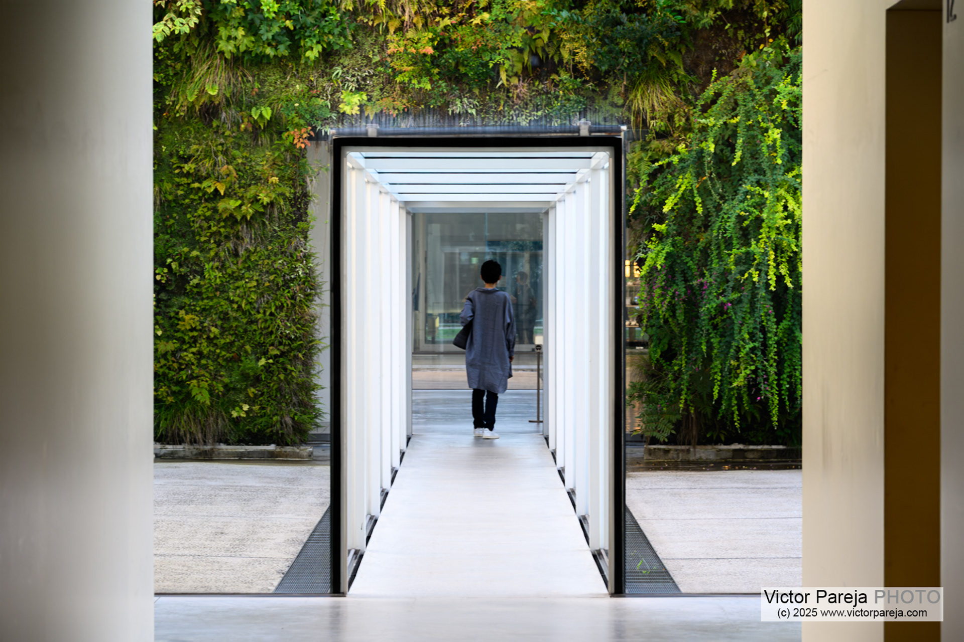 Kanazawa 21st Century Museum of Contemporary Art
