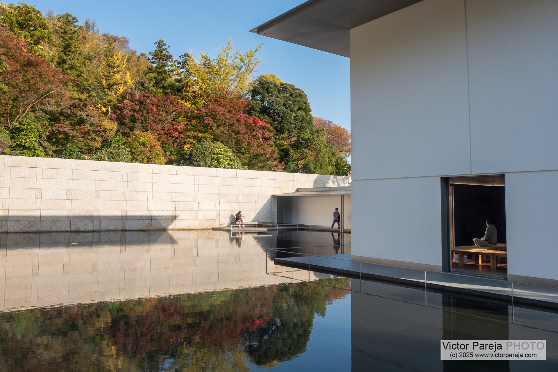 D. T. Suzuki Museum