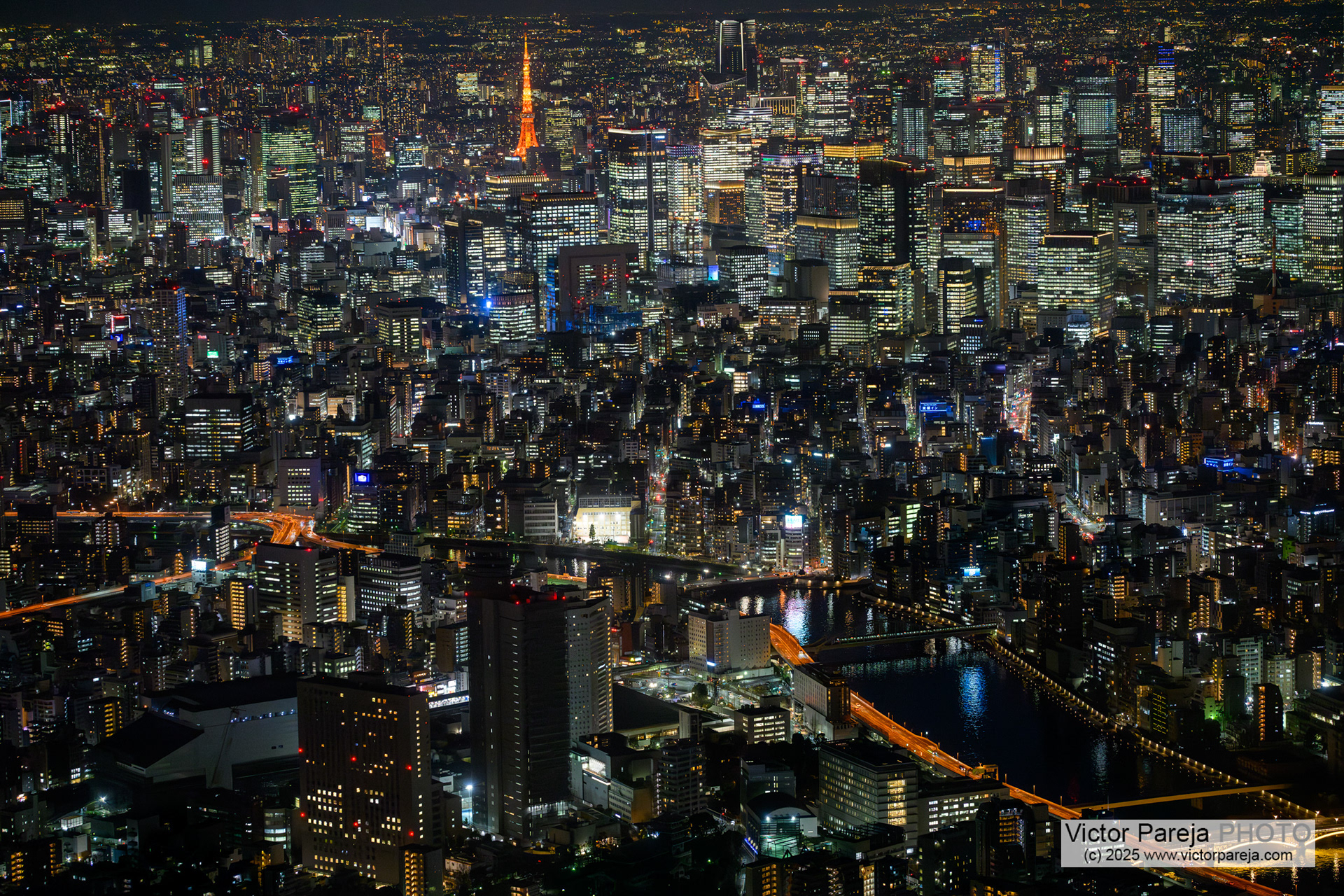 Sumida River and Skyline