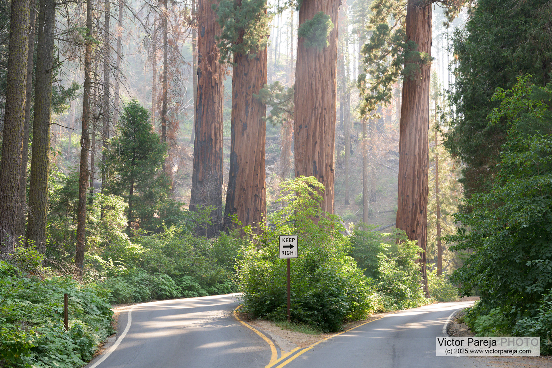 Sequoia National Park