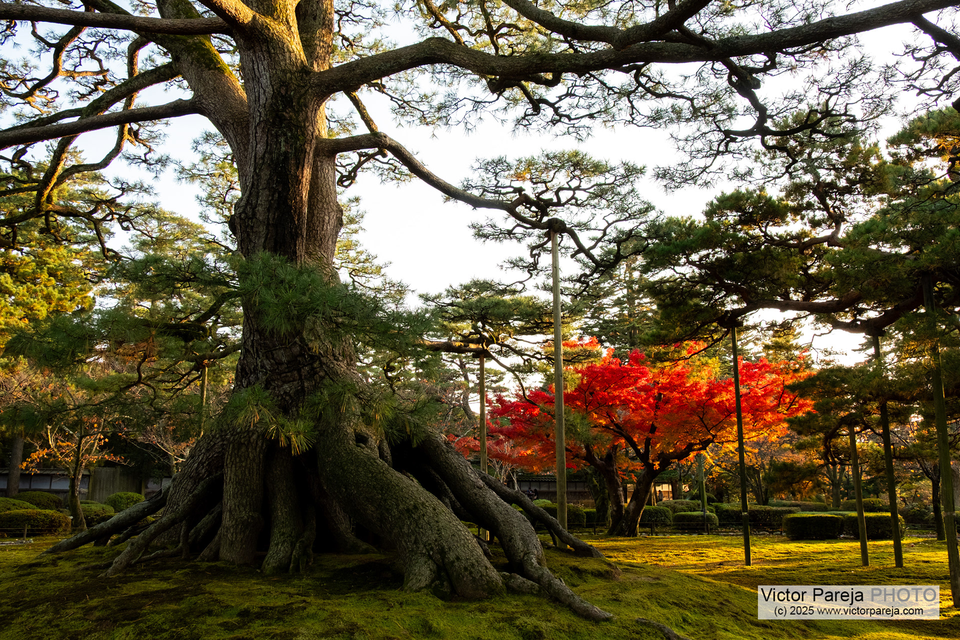 Kenroku-en Garden