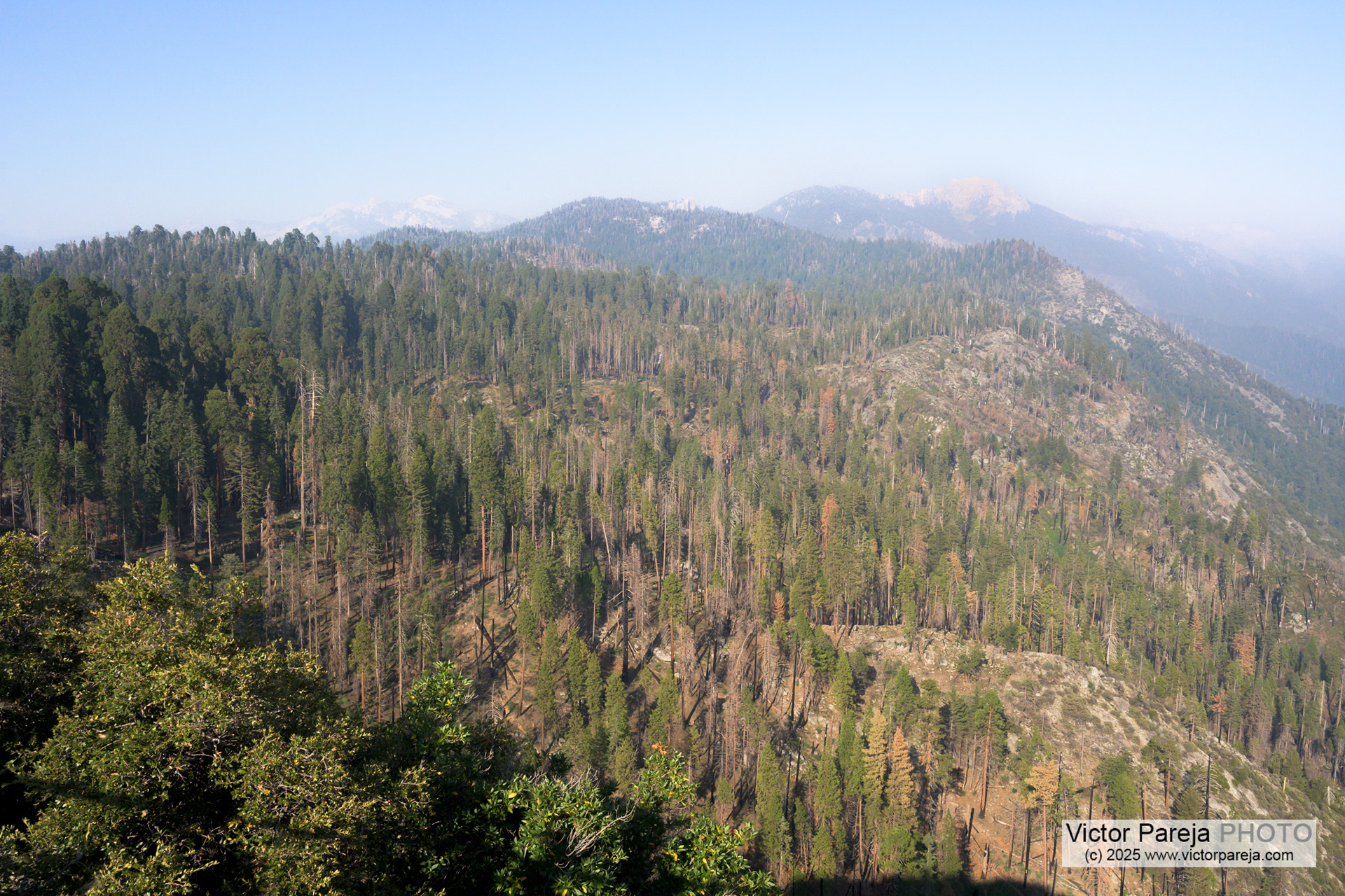 Sequoia National Park