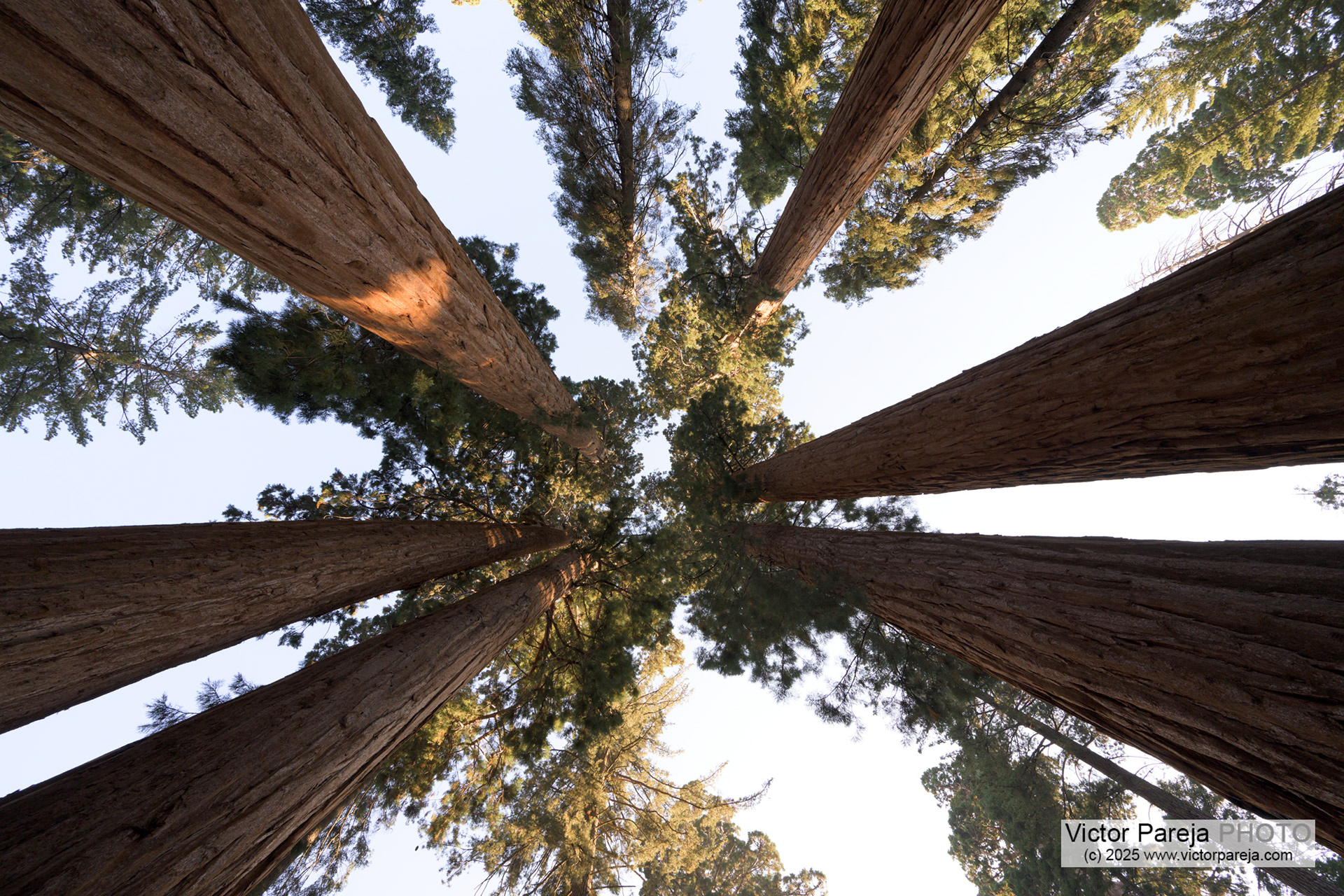 Sequoia National Park