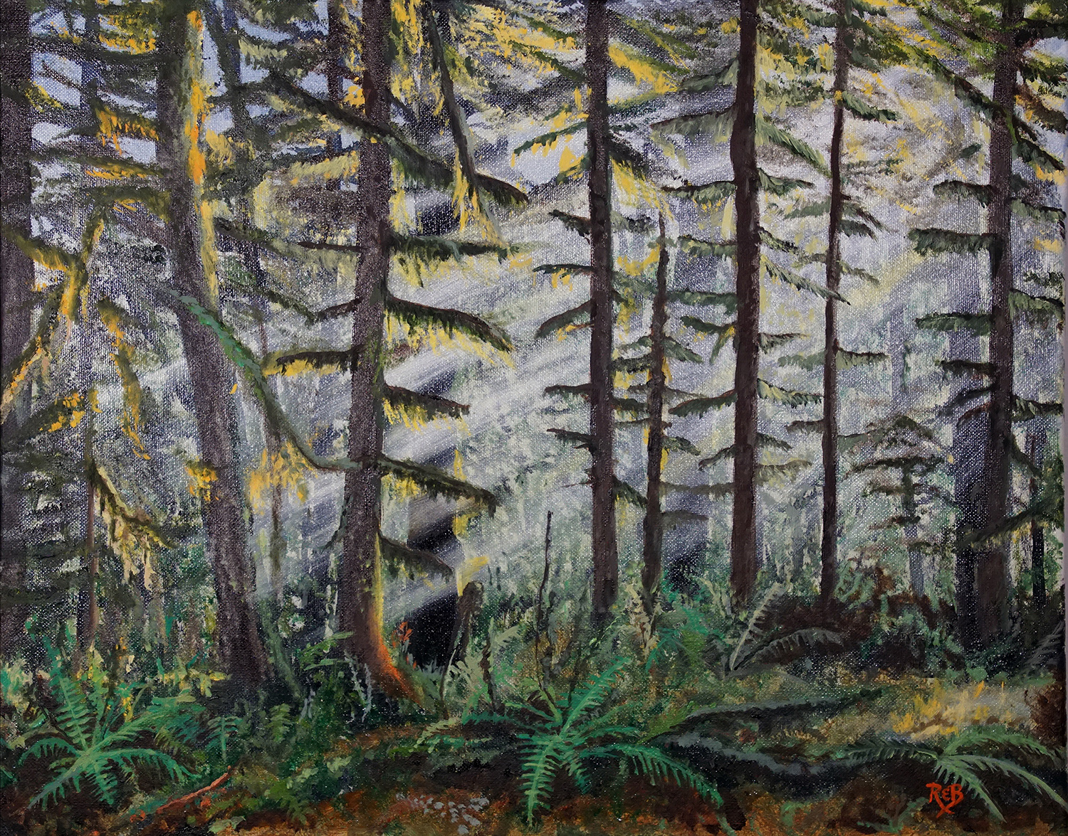Olympic National Forest