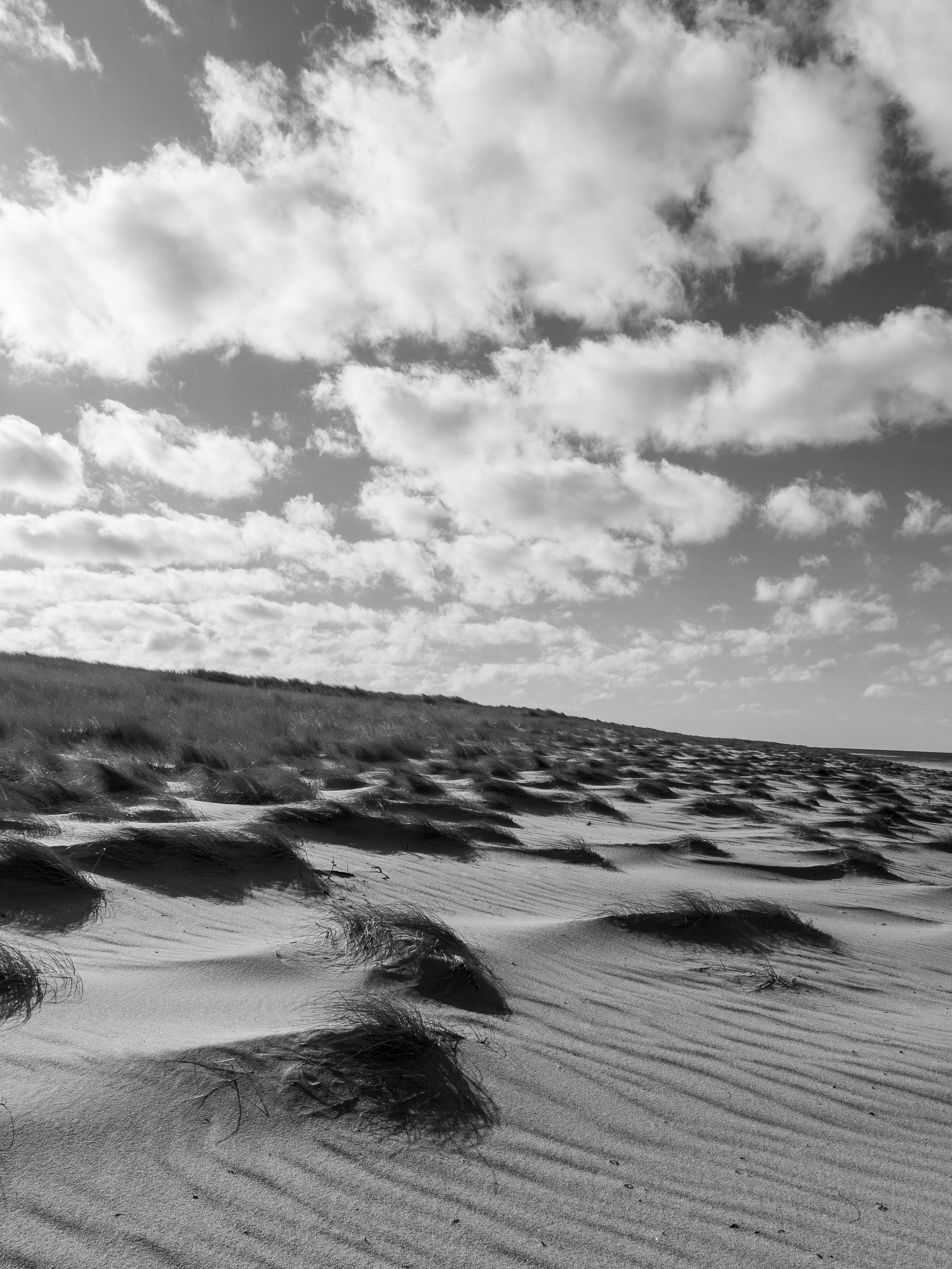 Cape Cod, MA