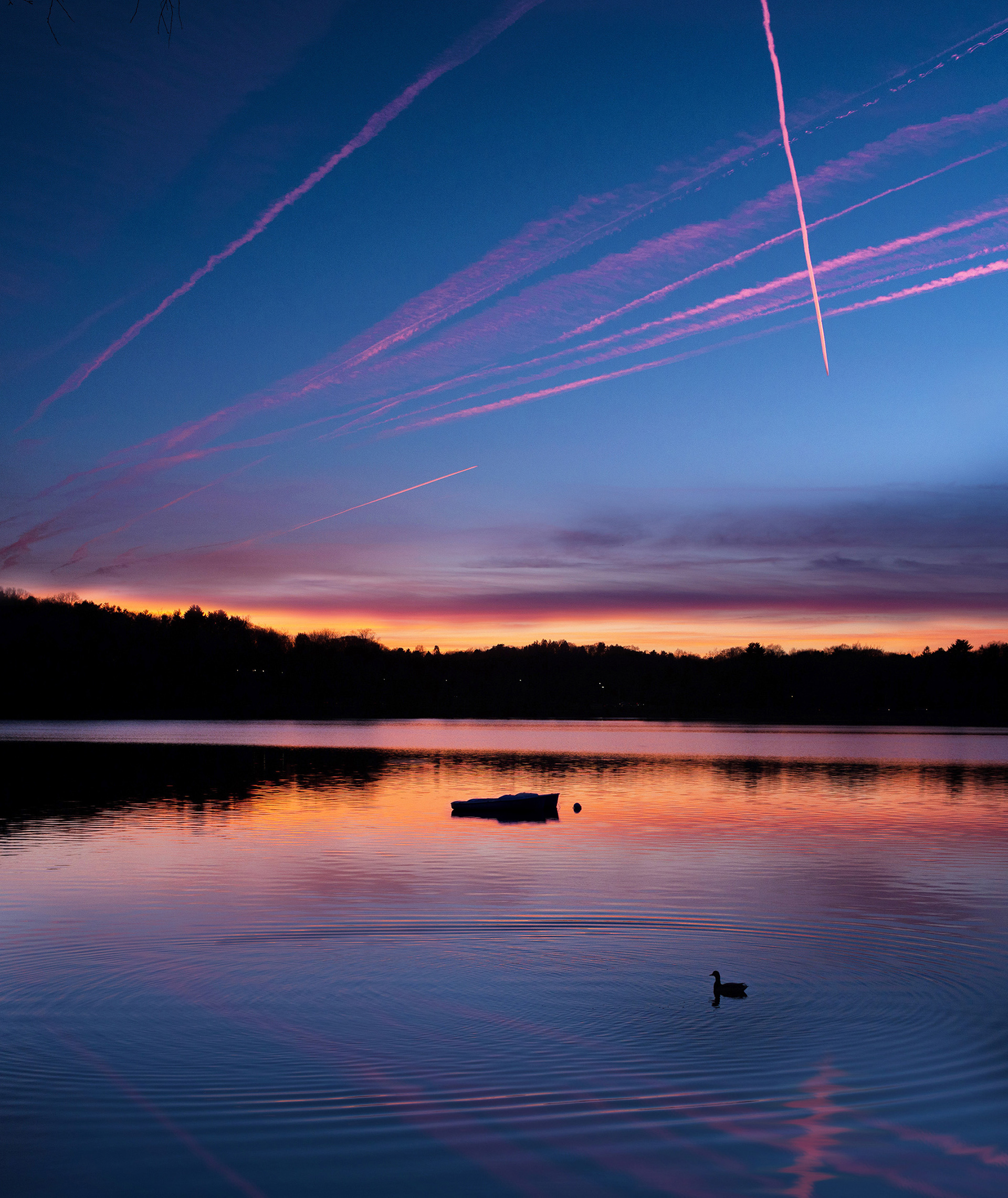 Jamaica Pond, Boston, MA