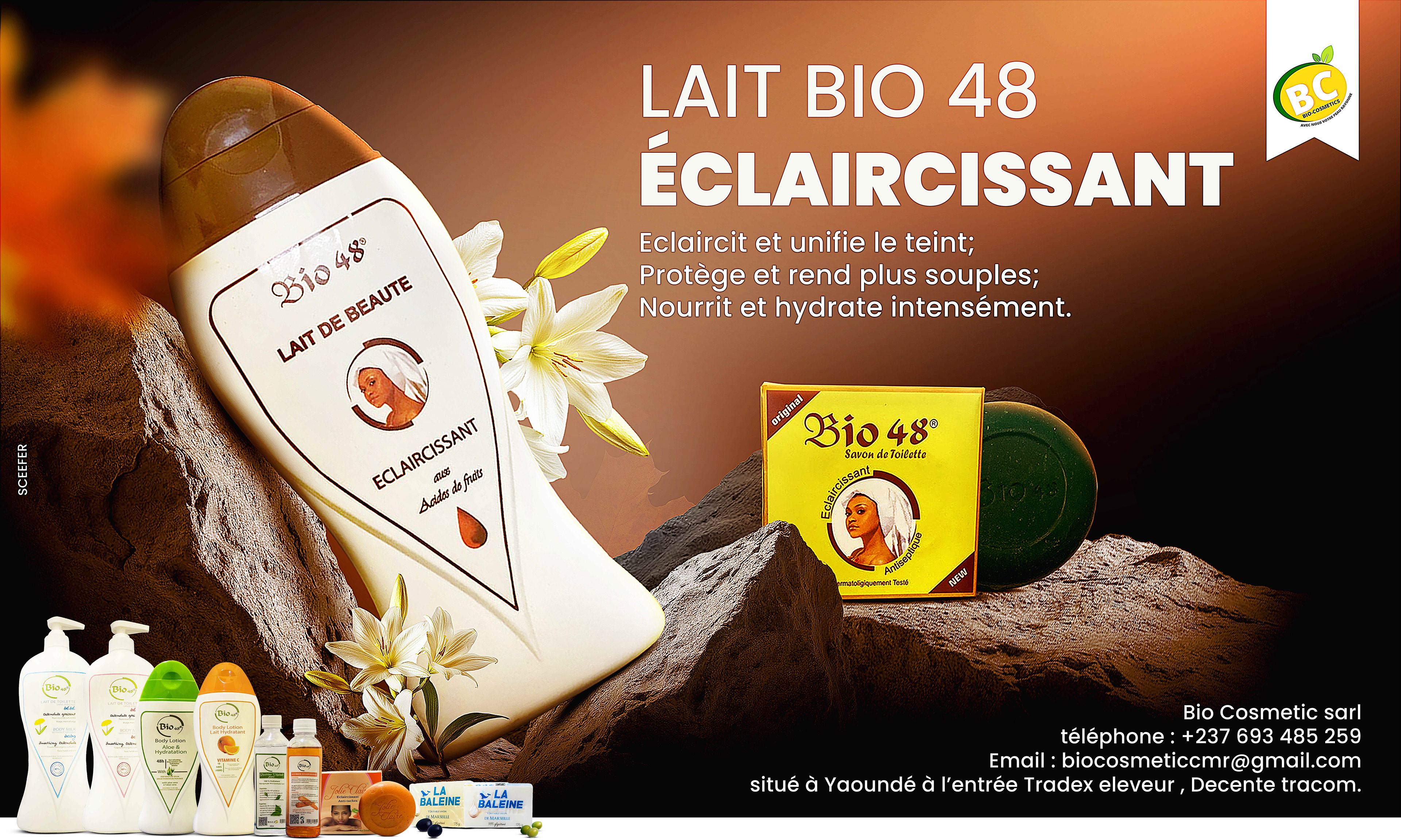 Visuel pour panneau publicitaire. Artwork for BIO 48