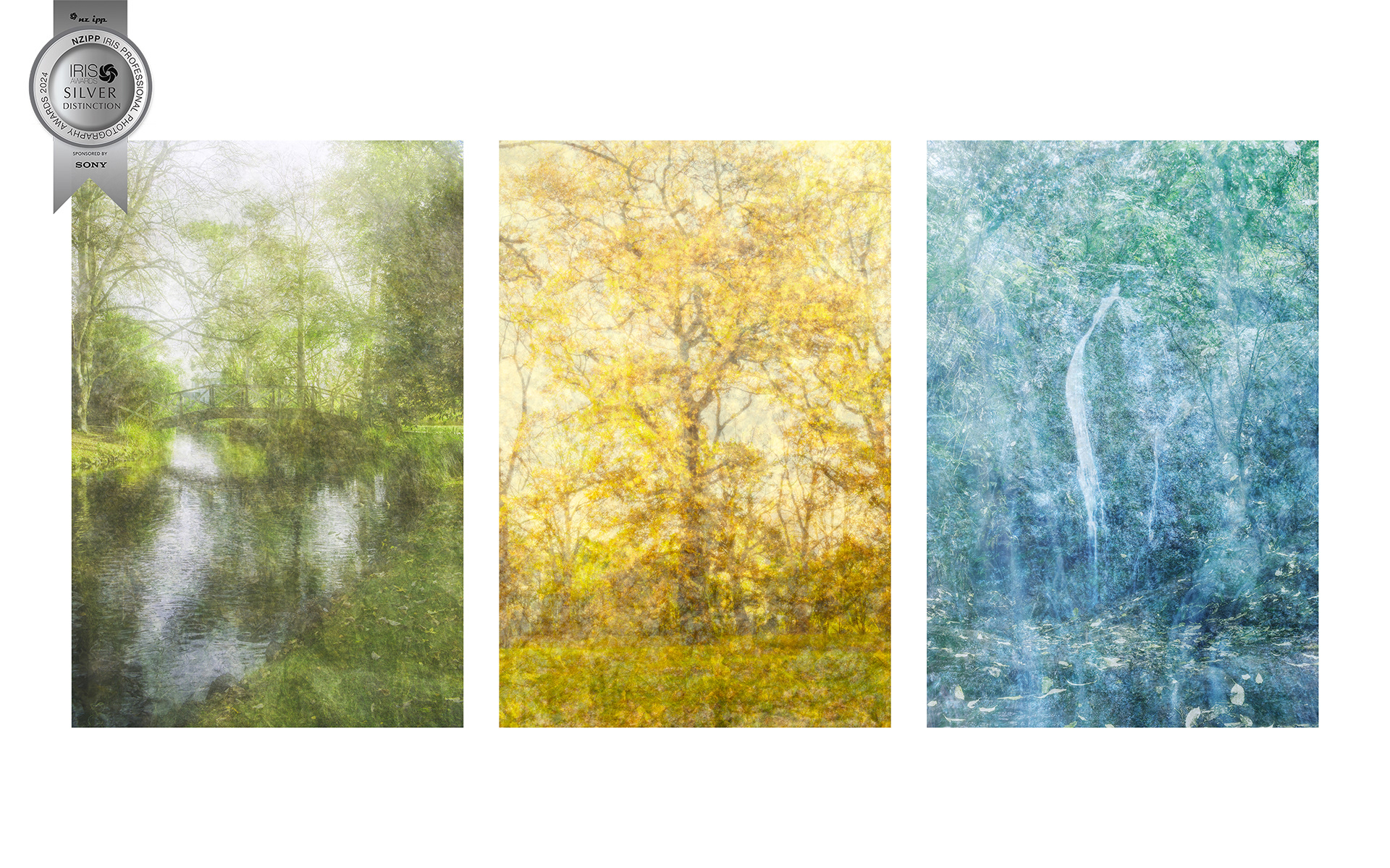 NZIPP IRIS AWARDS SILVER DISTINCTION AWARD (87%) - [PAINTED] (2024)