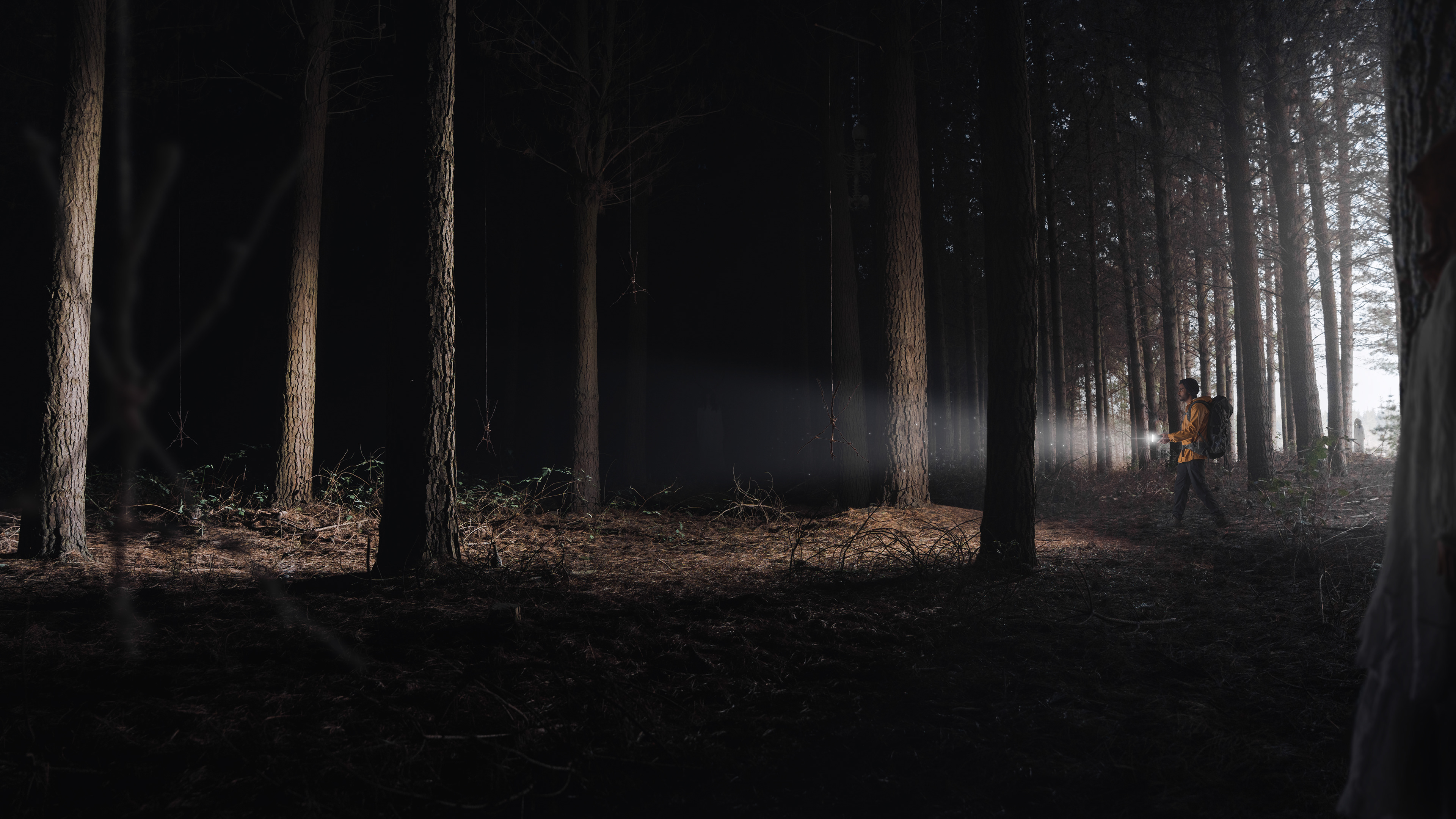 Ladies of the woods (6/7)