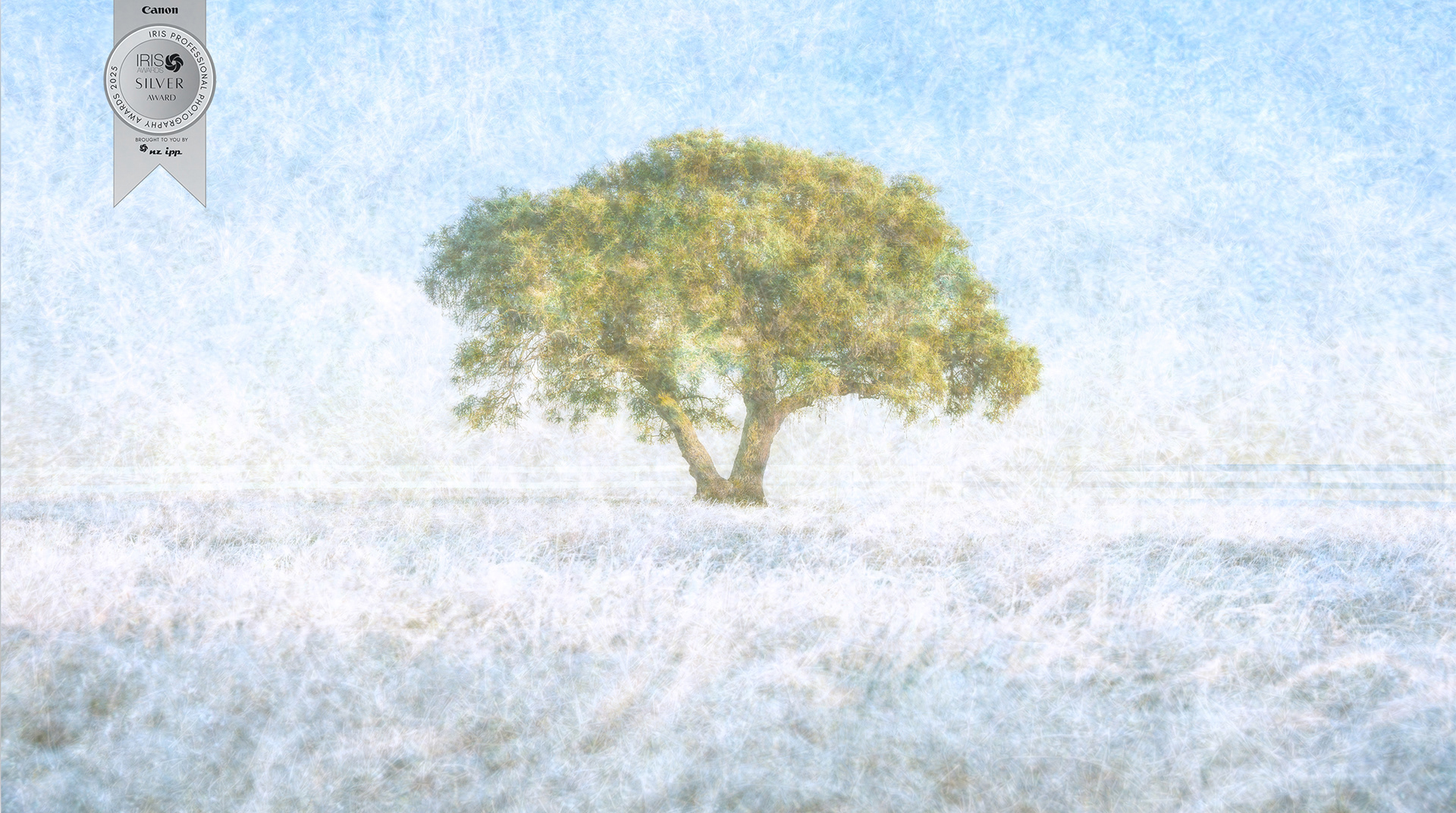 NZIPP IRIS AWARDS SILVER AWARD (80%) - [UNTITLED] (2025)