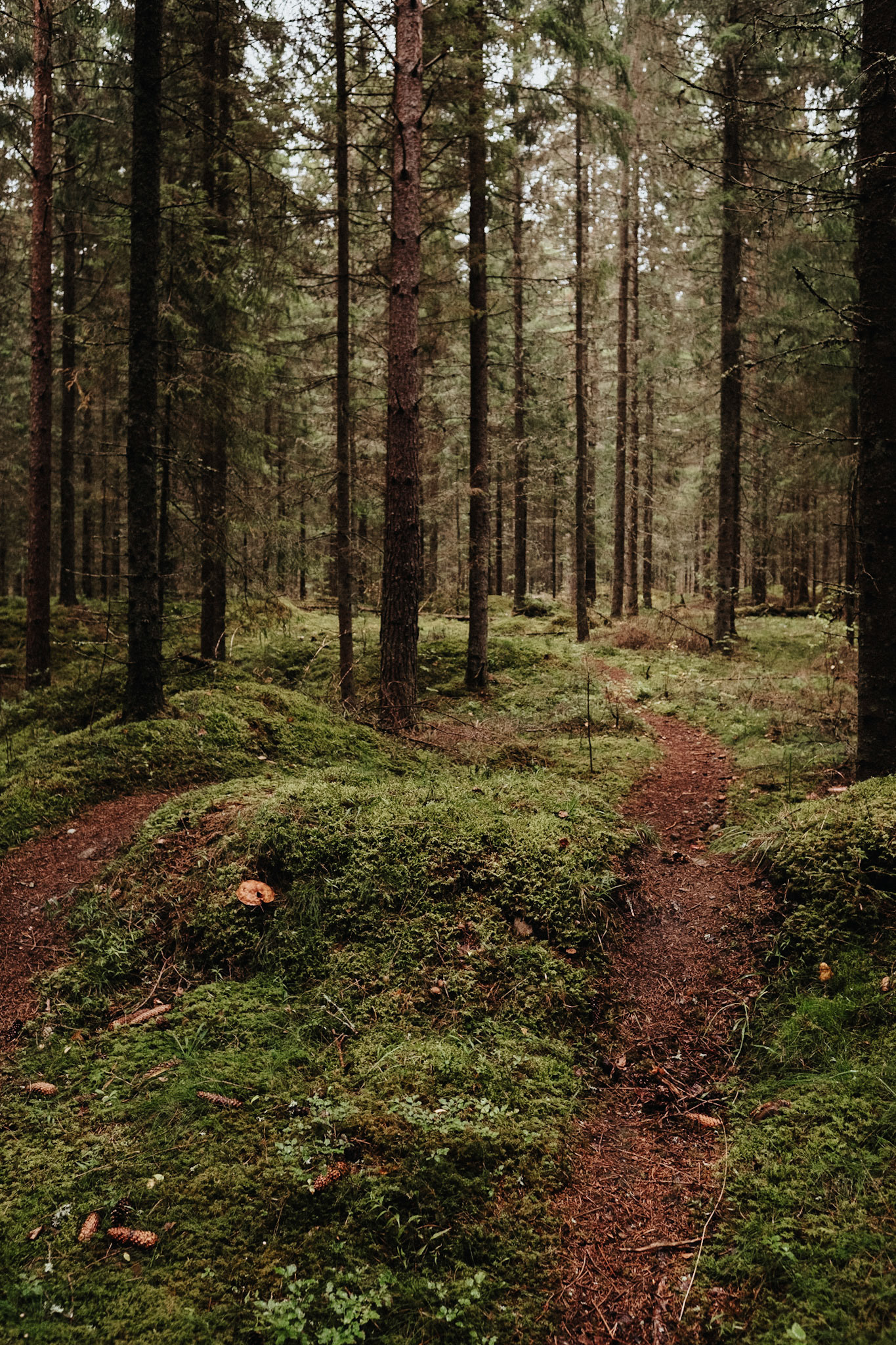 Foto: Erik Nygren / eriknygren.com