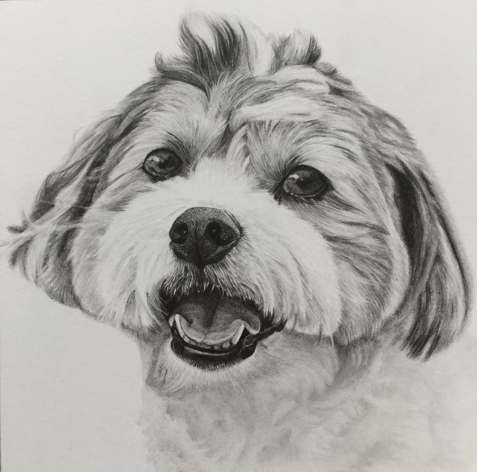 Chi | 4" x 4"