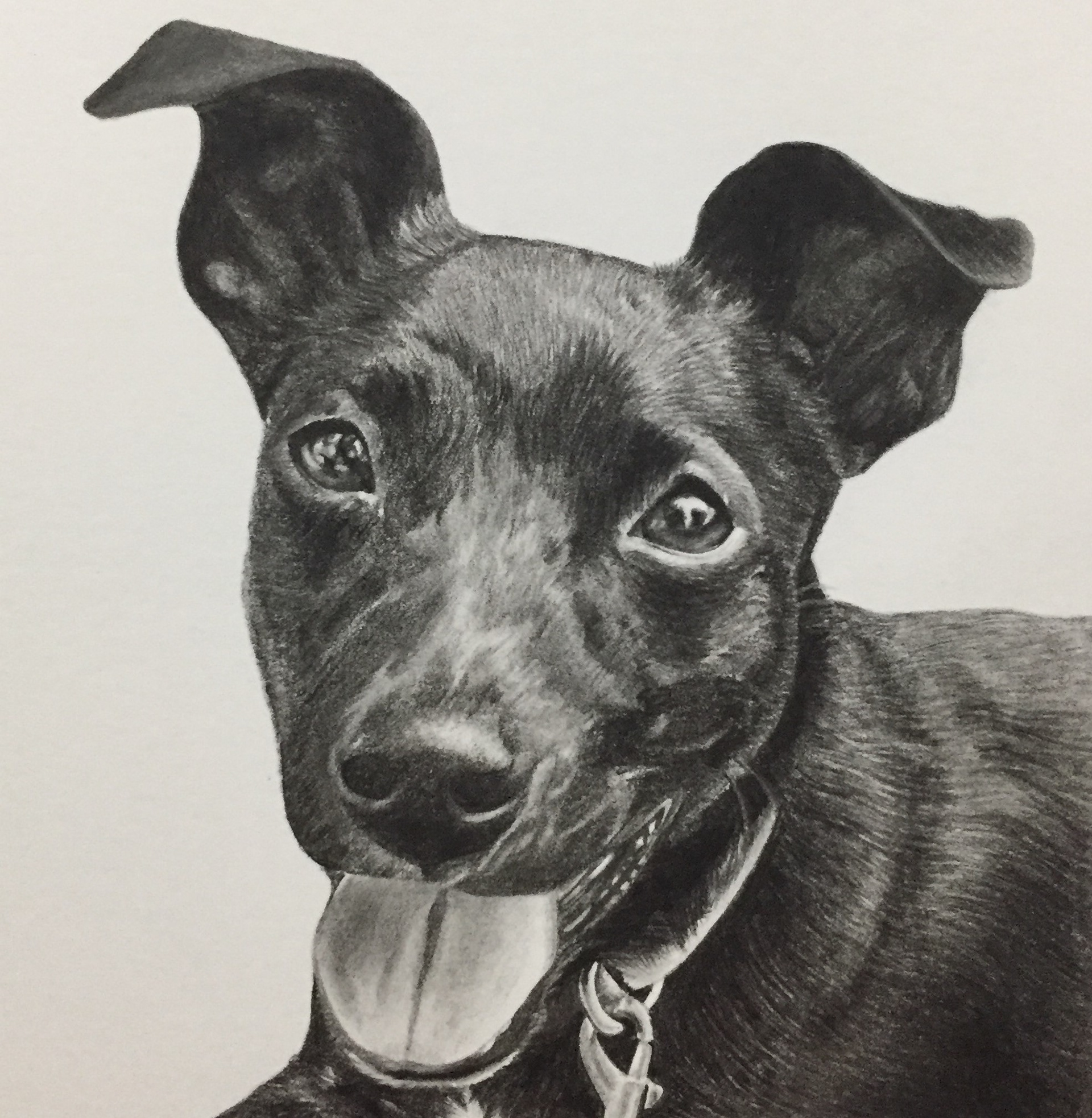 Bob | 4" x 4"