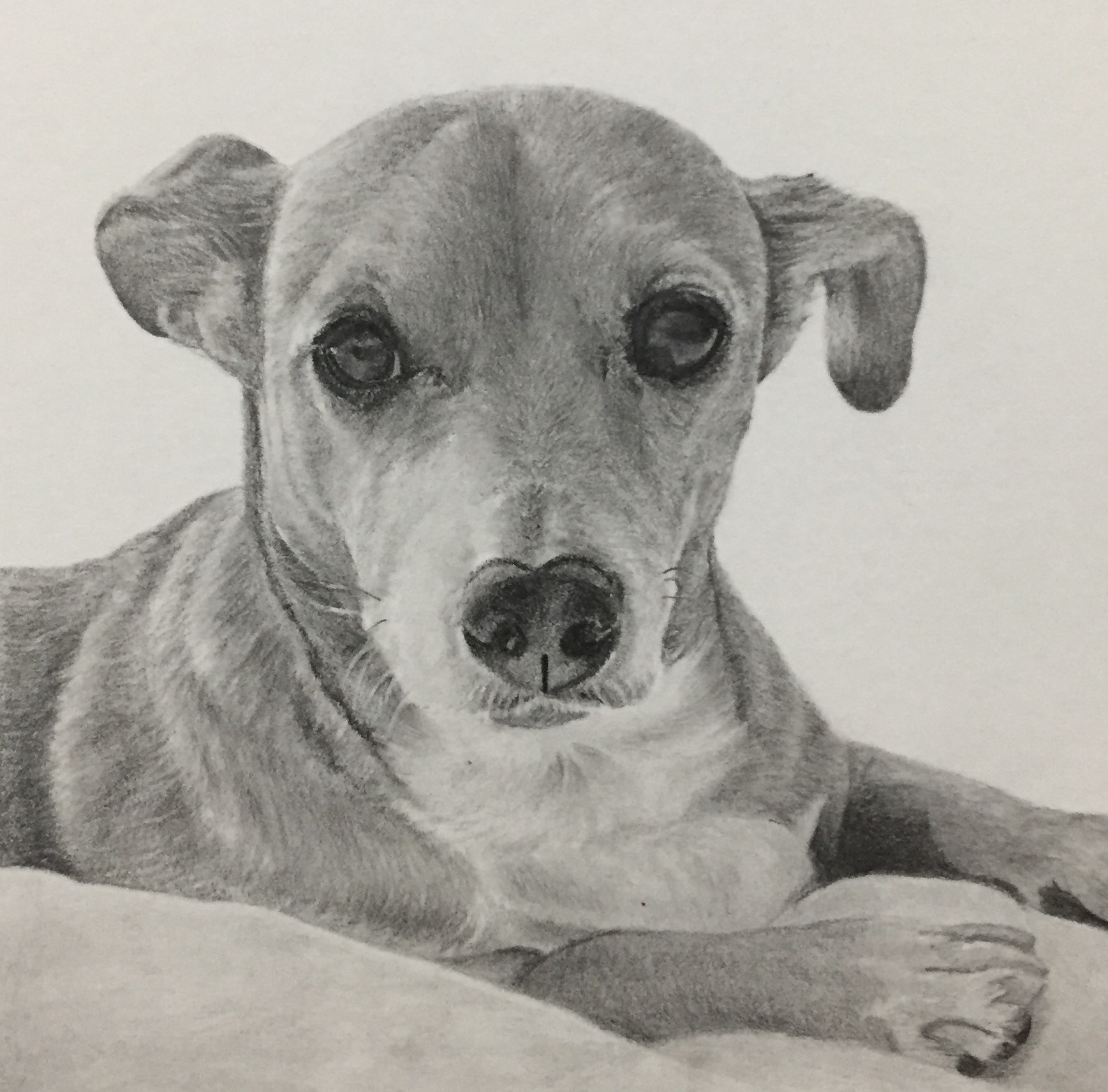 Hazel | 3" x 3"