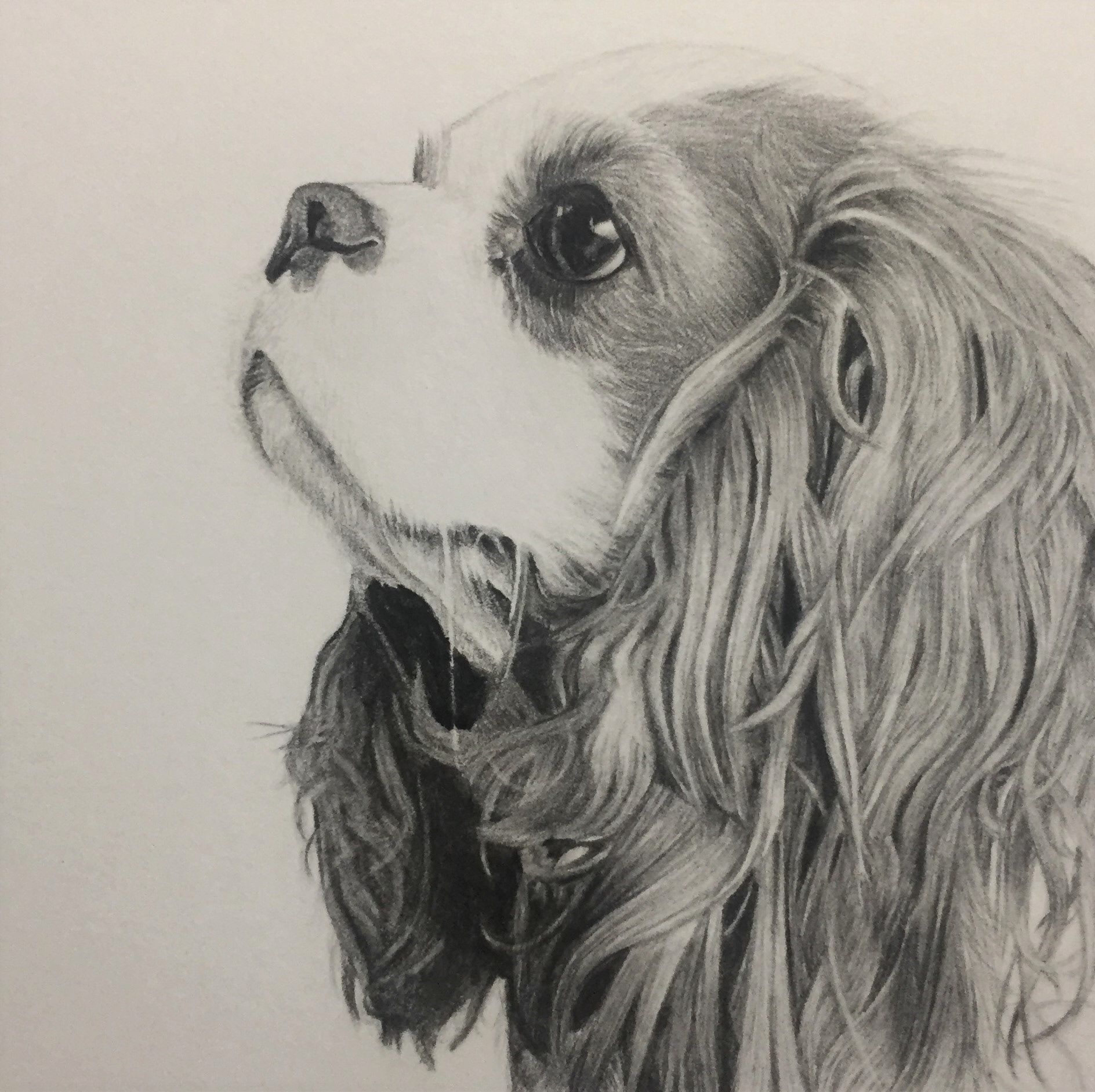 Margot | 3" x 3"