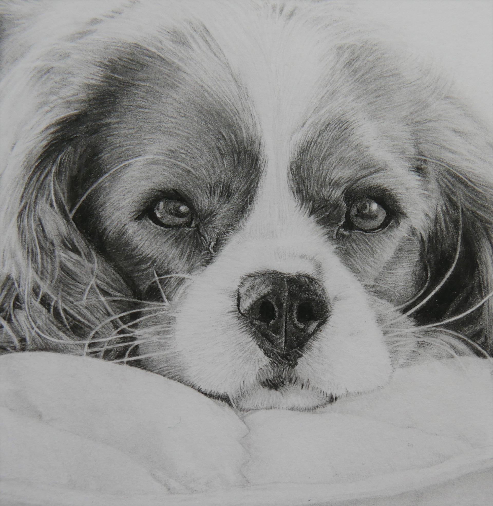 Jackson | 3" x 3"