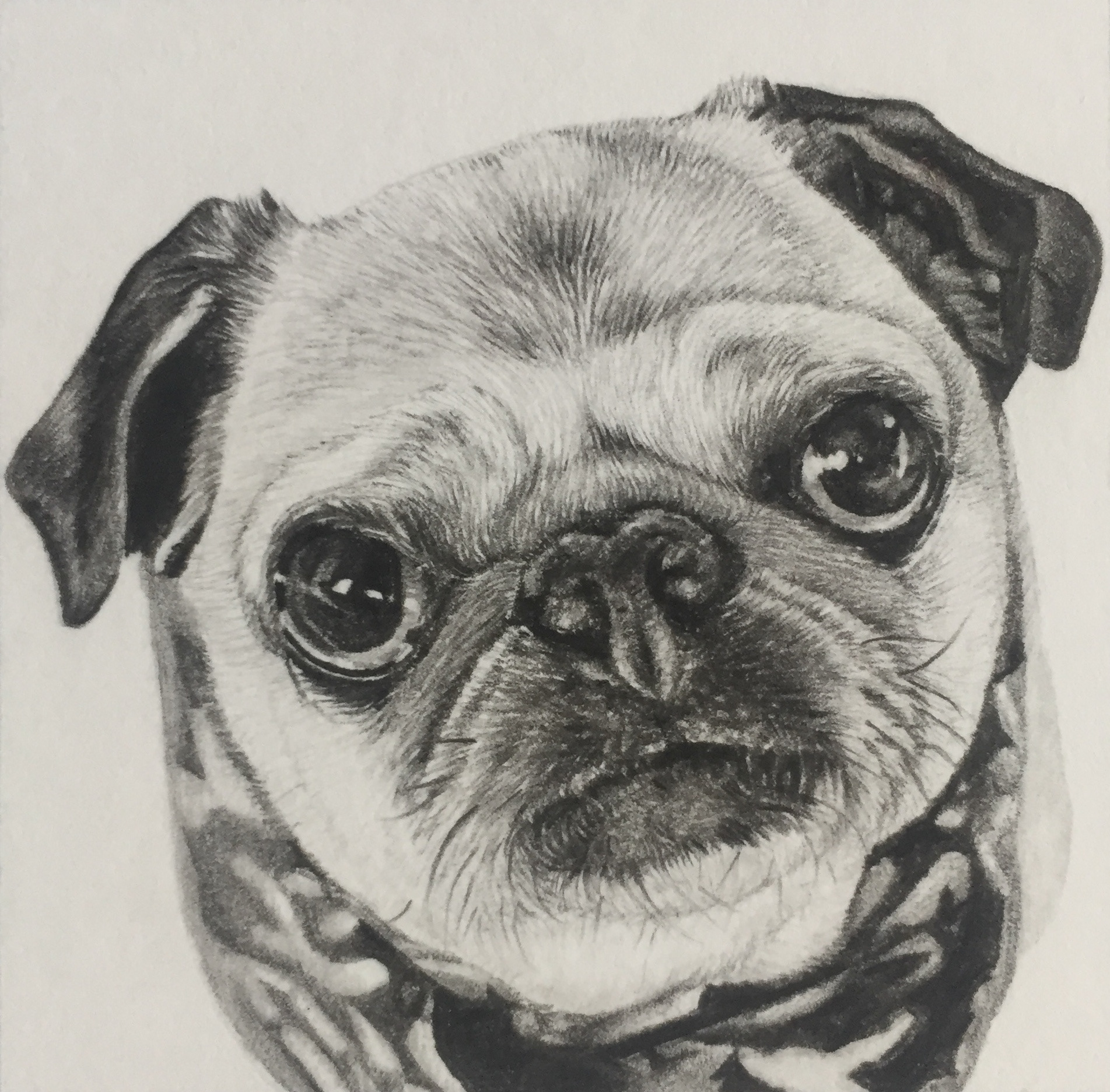 Rosie | 2" x 2"